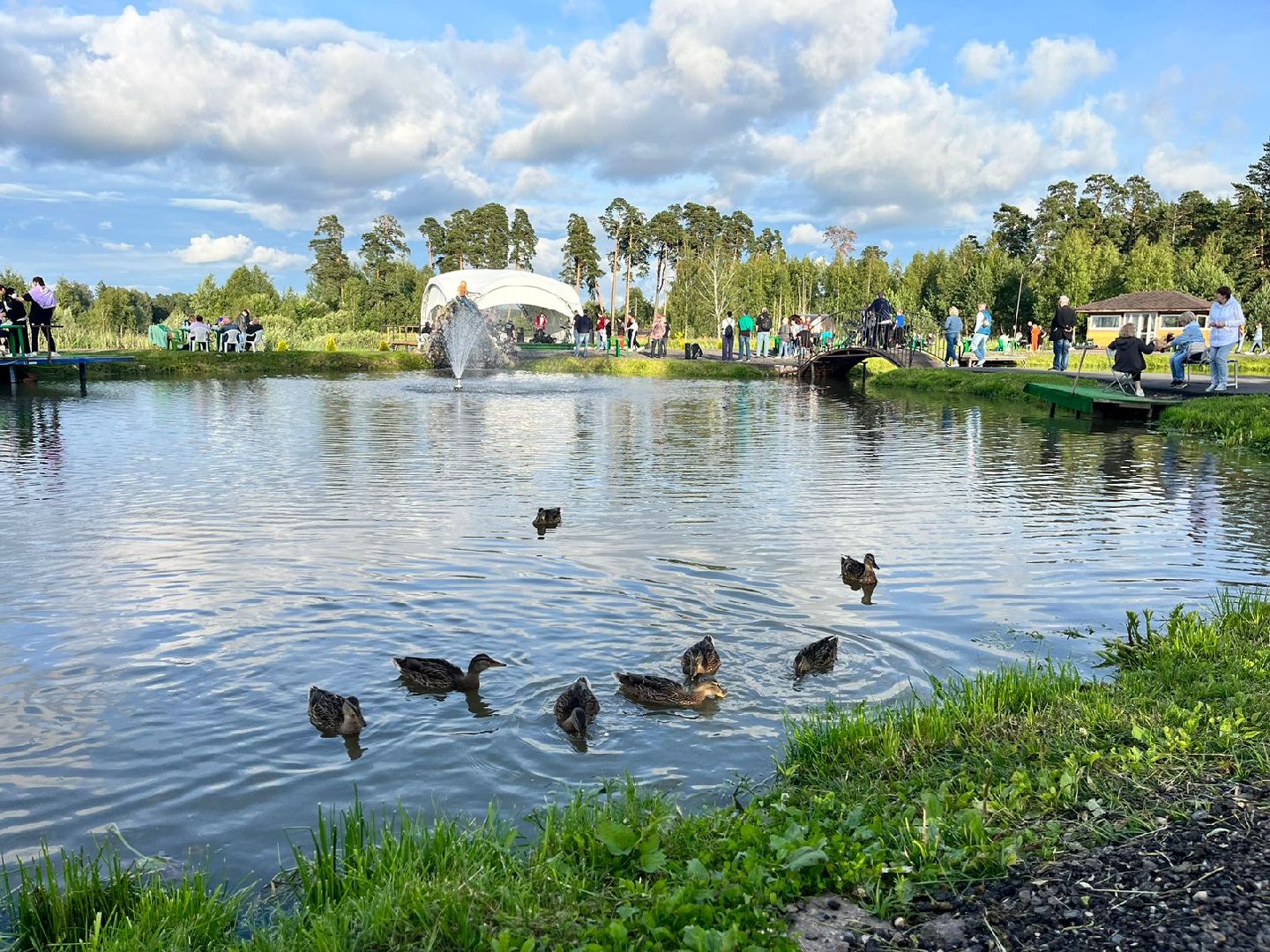 Подмосковье, Городской округ Пушкинский, отдых