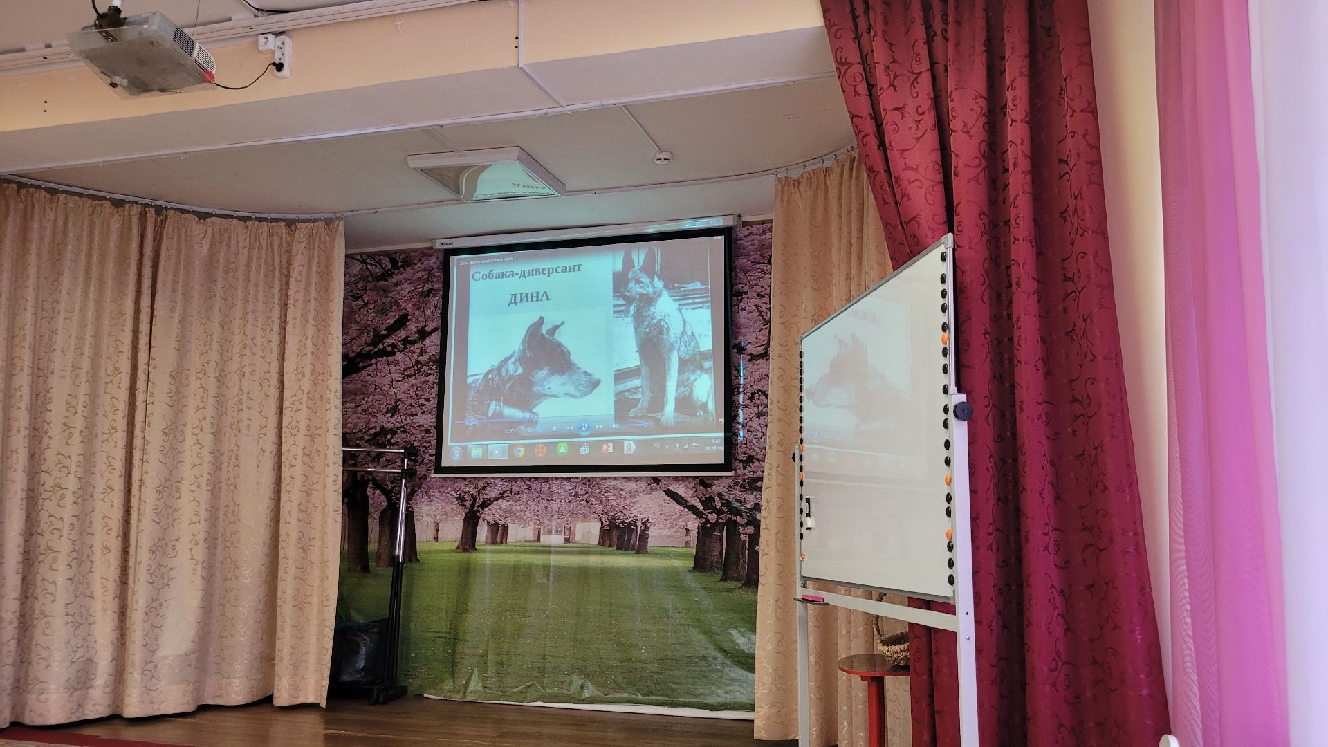 дети; животные; ВОВ; видное