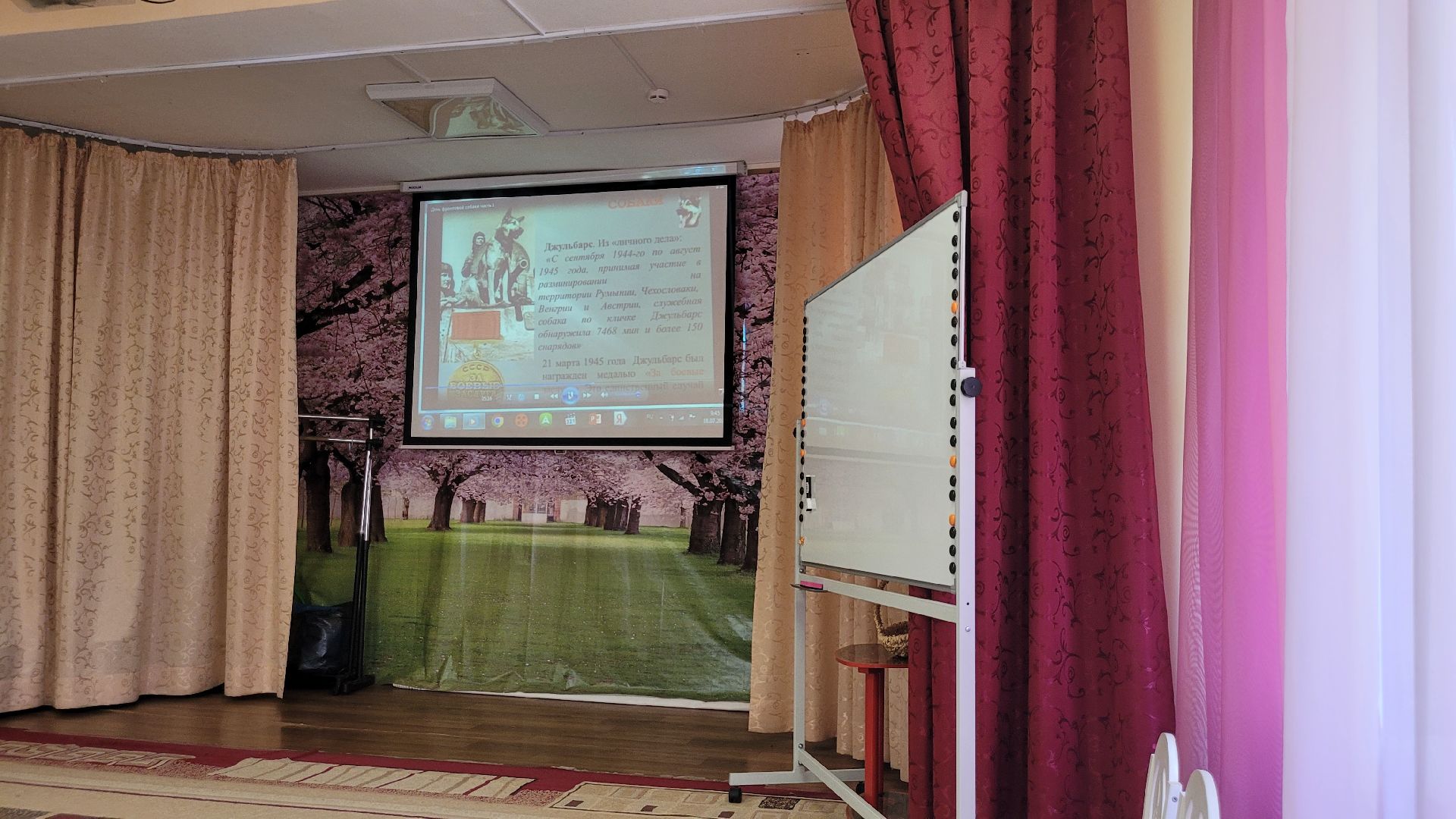 дети; животные; ВОВ; видное