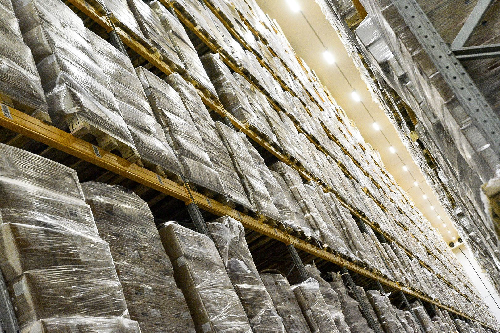 Солнечногорск, предприятие, бизнес, глава, муниципалитет