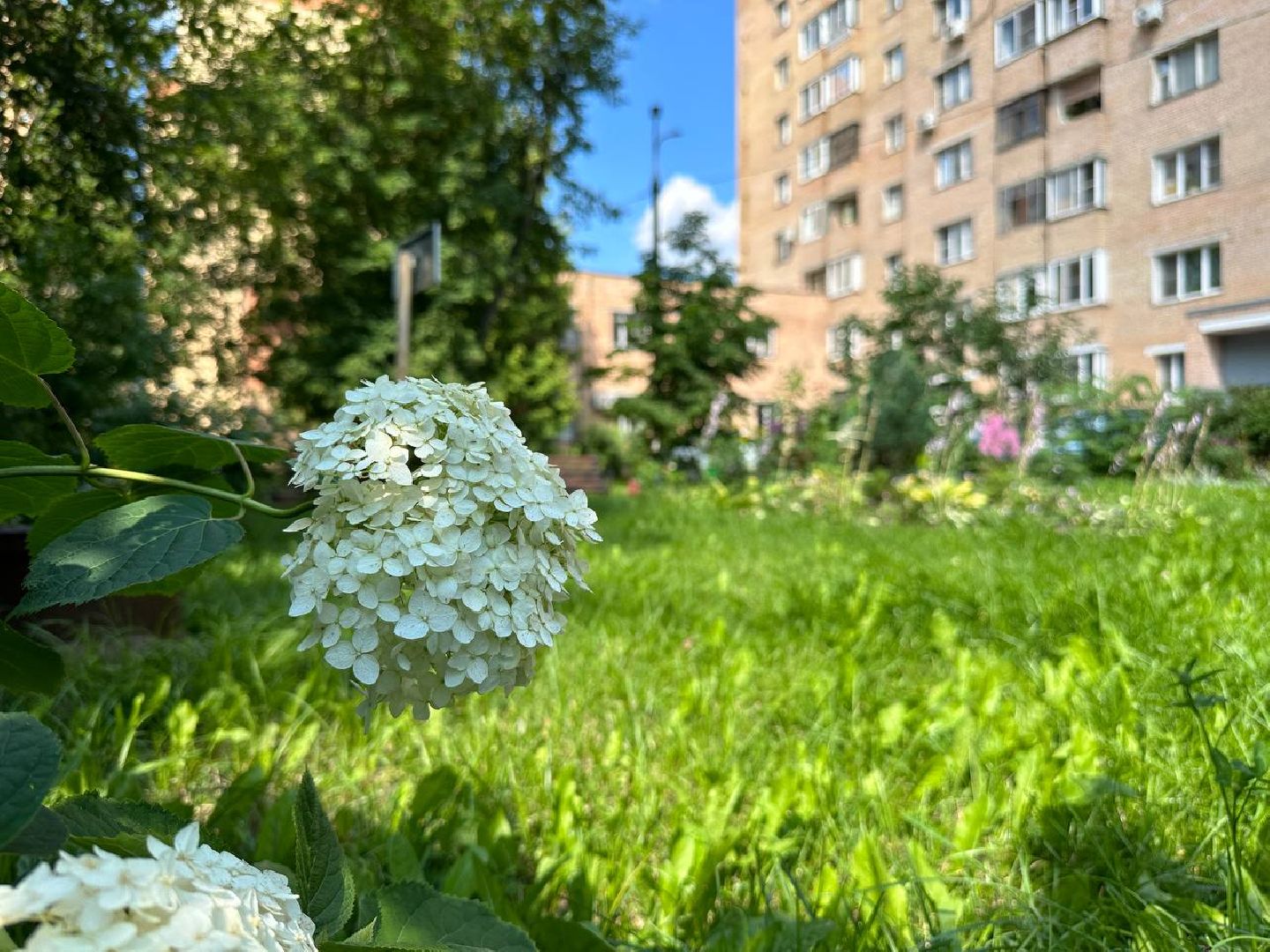 Реутов, благоустройство, сквер, цветы, лавочки, плитка