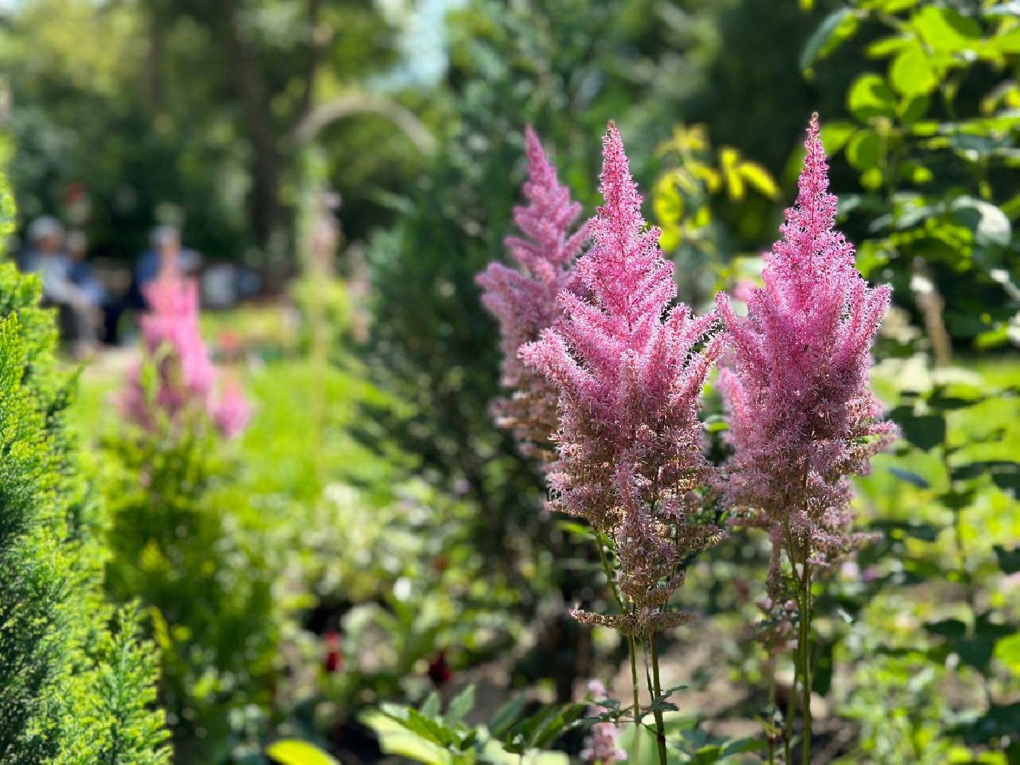 Реутов, благоустройство, сквер, цветы, лавочки, плитка