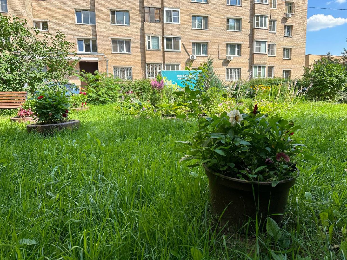 Реутов, благоустройство, сквер, цветы, лавочки, плитка