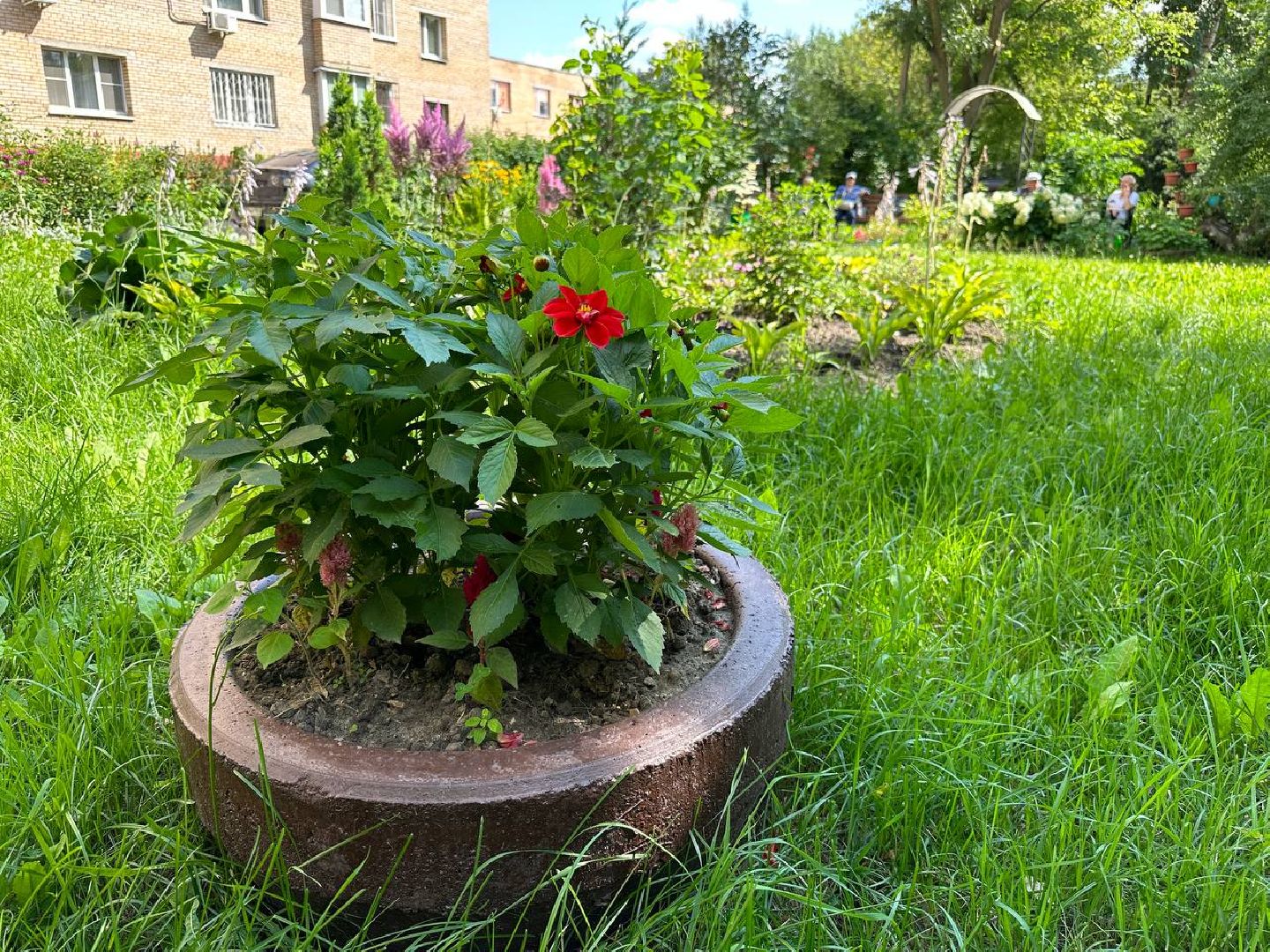 Реутов, благоустройство, сквер, цветы, лавочки, плитка