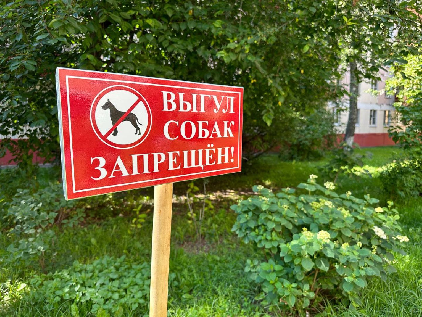 Реутов, благоустройство, сквер, цветы, лавочки, плитка