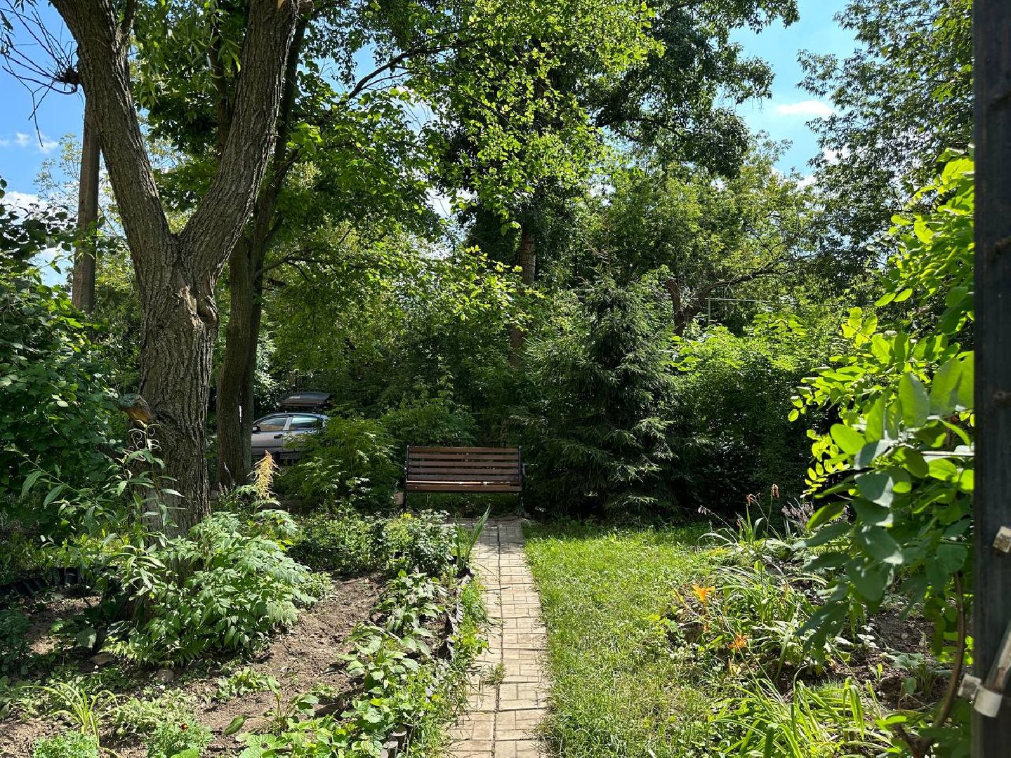 Реутов, благоустройство, сквер, цветы, лавочки, плитка