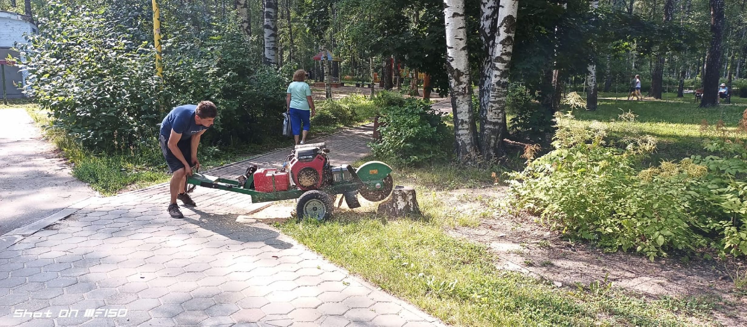 Лобня, благоустройство, парк