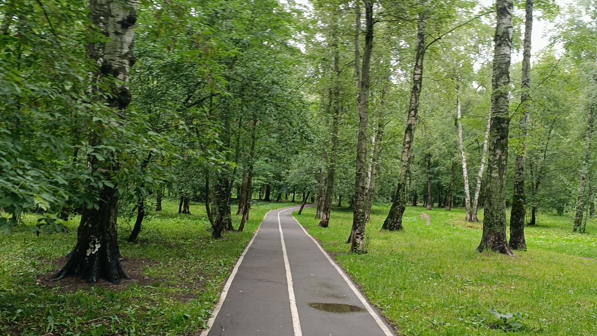 Лобня, благоустройство, парк