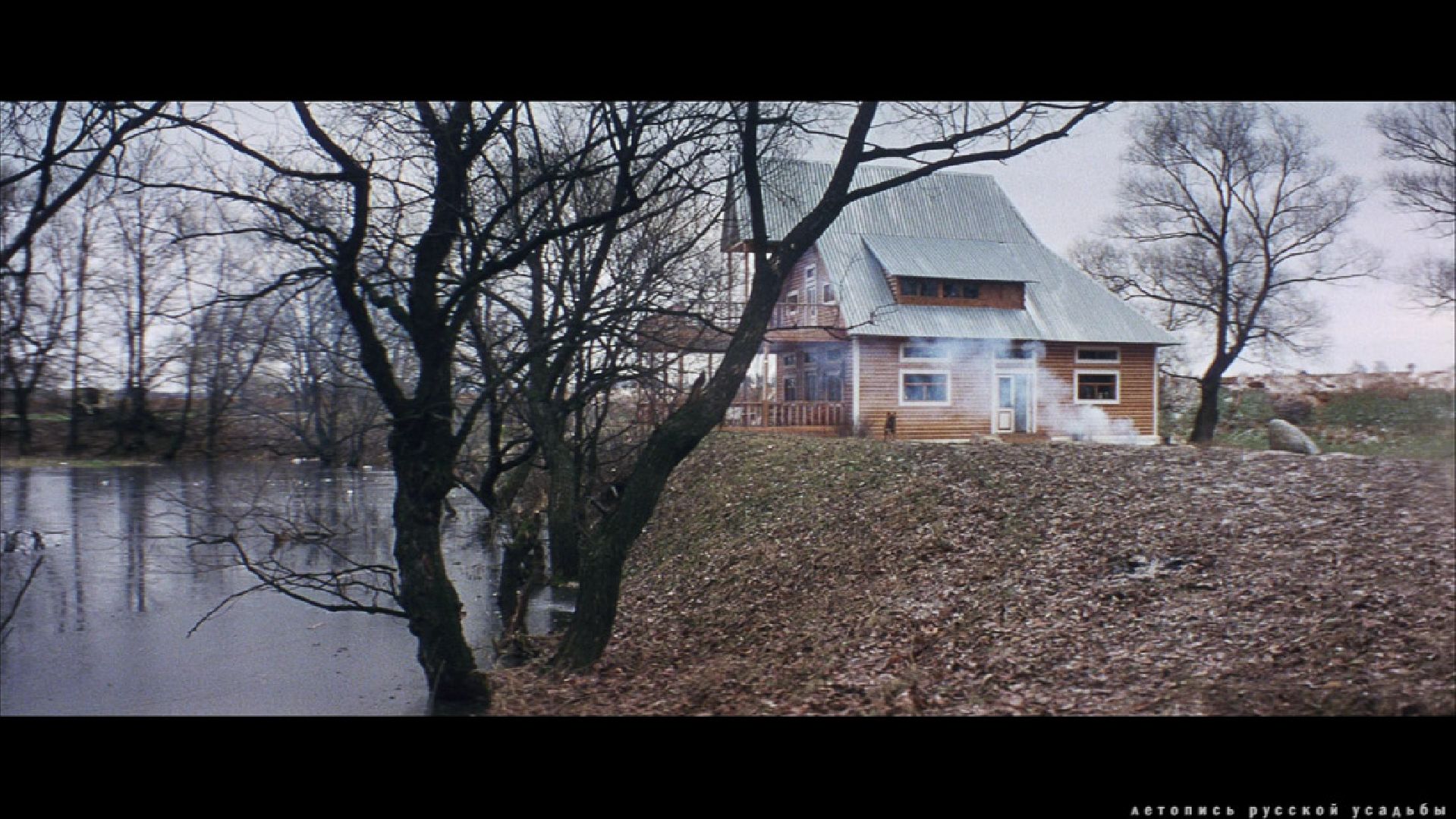 Звенигород, Активное долголетие, досуг, вечер памяти Андрея Тарковского