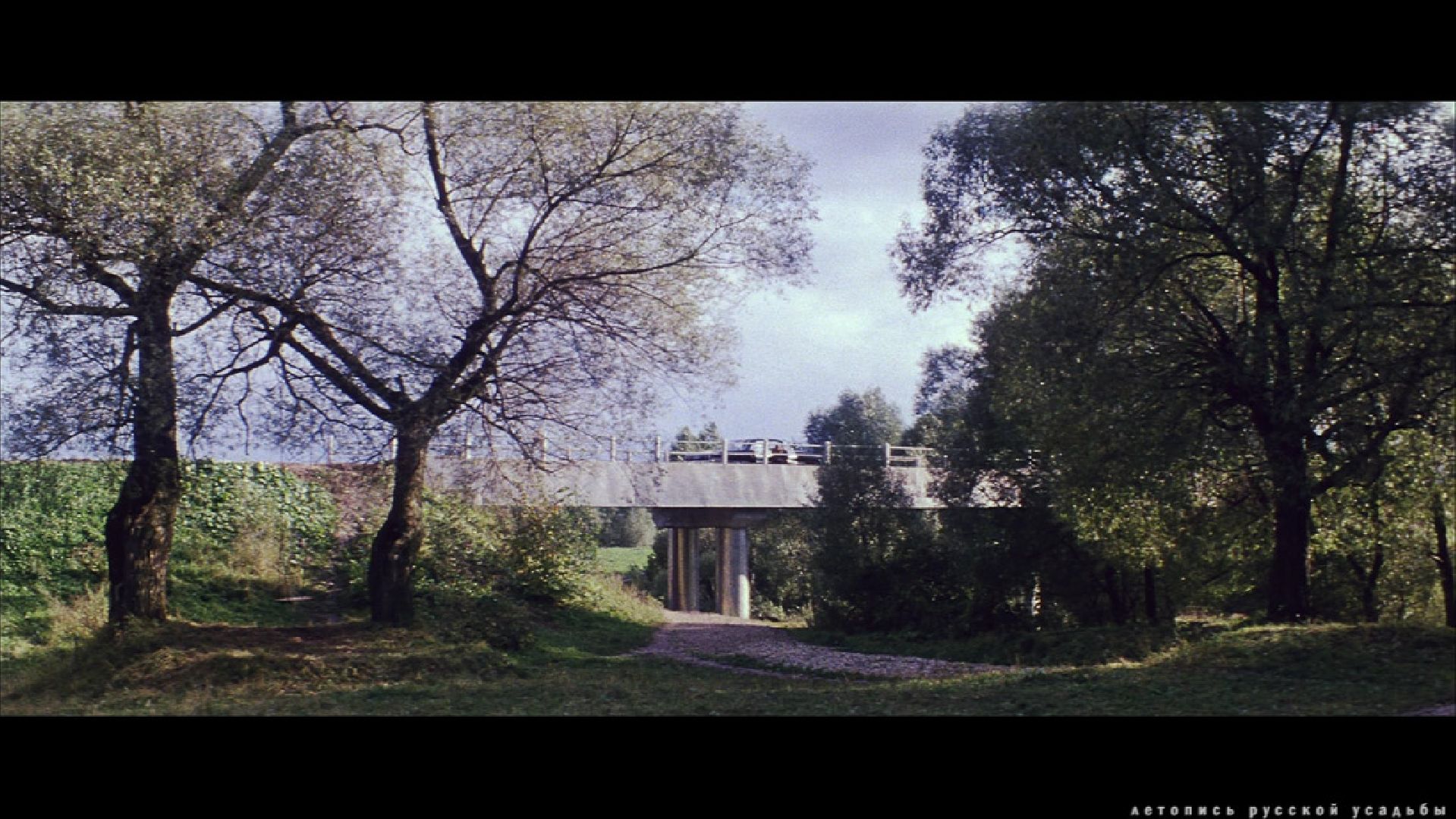 Звенигород, Активное долголетие, досуг, вечер памяти Андрея Тарковского