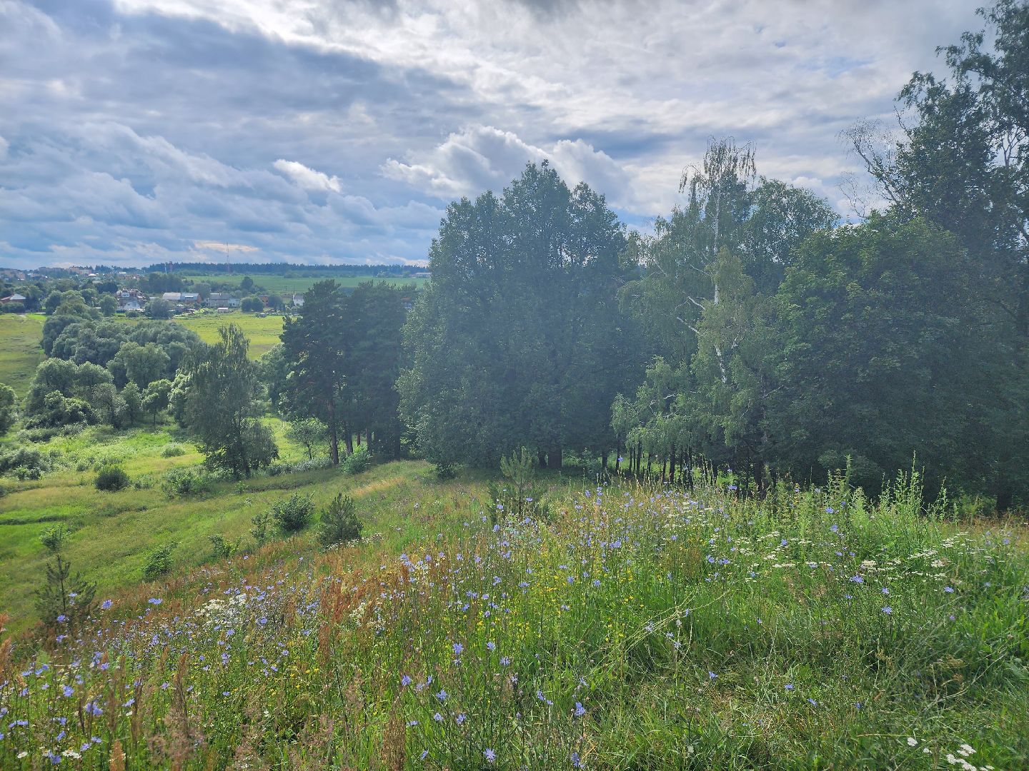 Звенигород, Активное долголетие, досуг, вечер памяти Андрея Тарковского