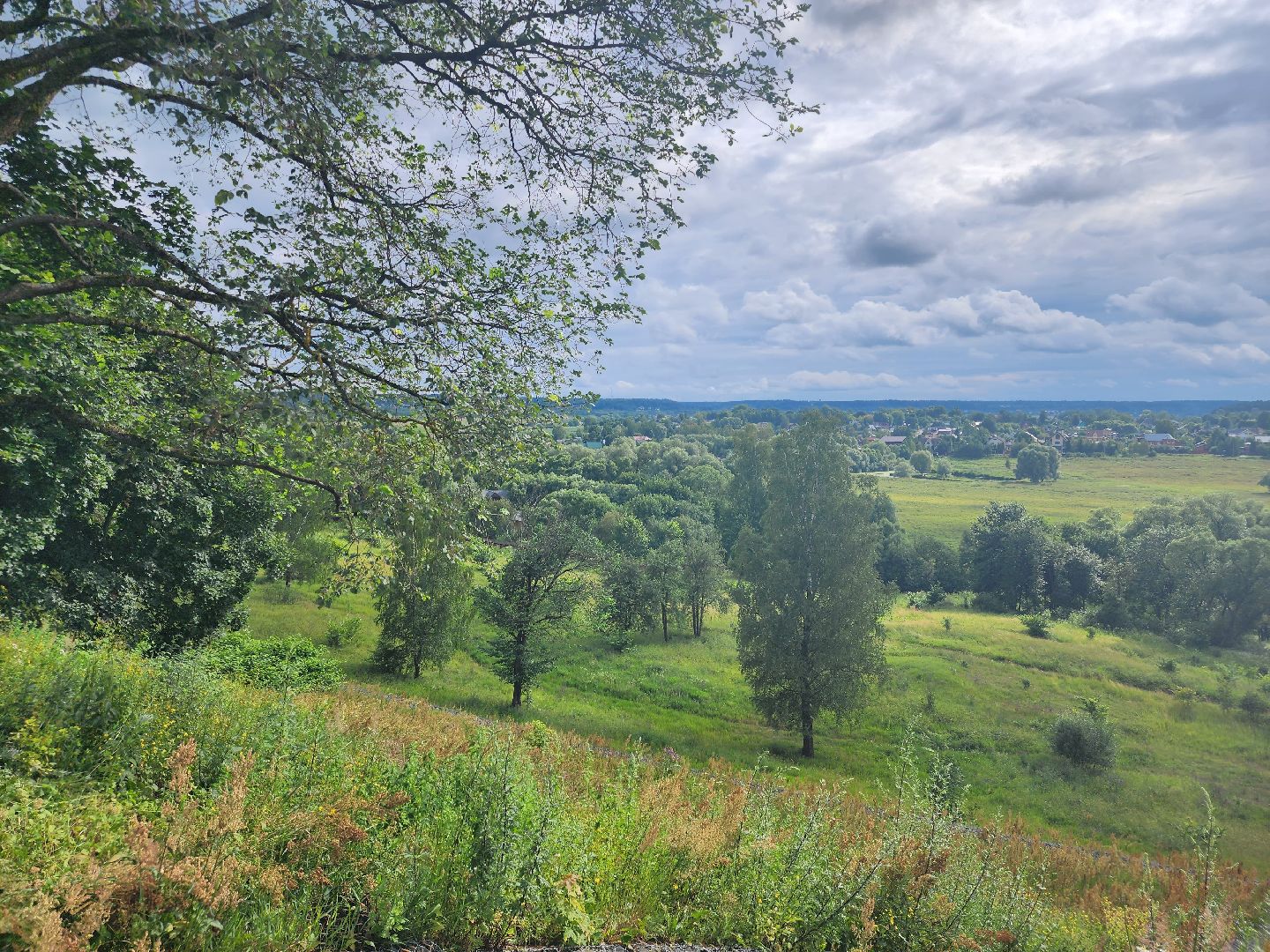 Звенигород, Активное долголетие, досуг, вечер памяти Андрея Тарковского