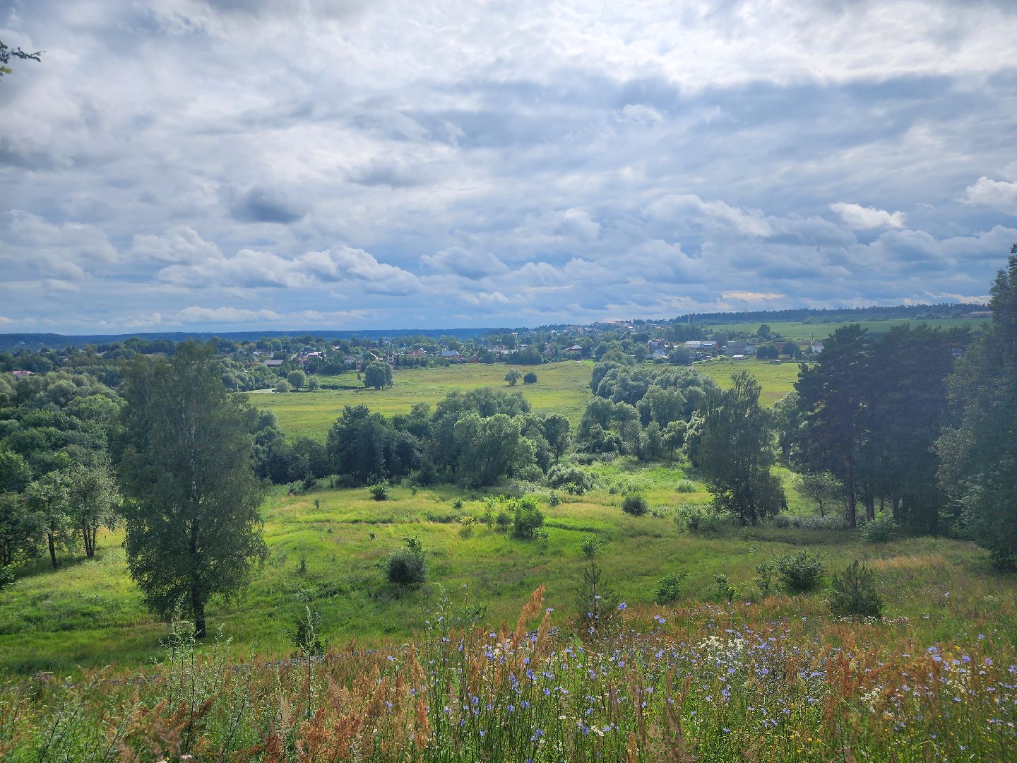 Звенигород, Активное долголетие, досуг, вечер памяти Андрея Тарковского