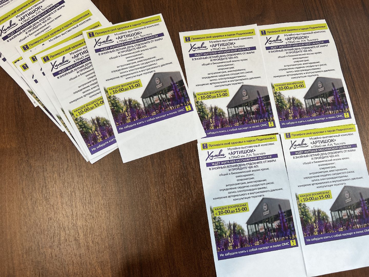 Химки, медицина, Проверь здоровье в парке, Артишок, Химкинская областная больница