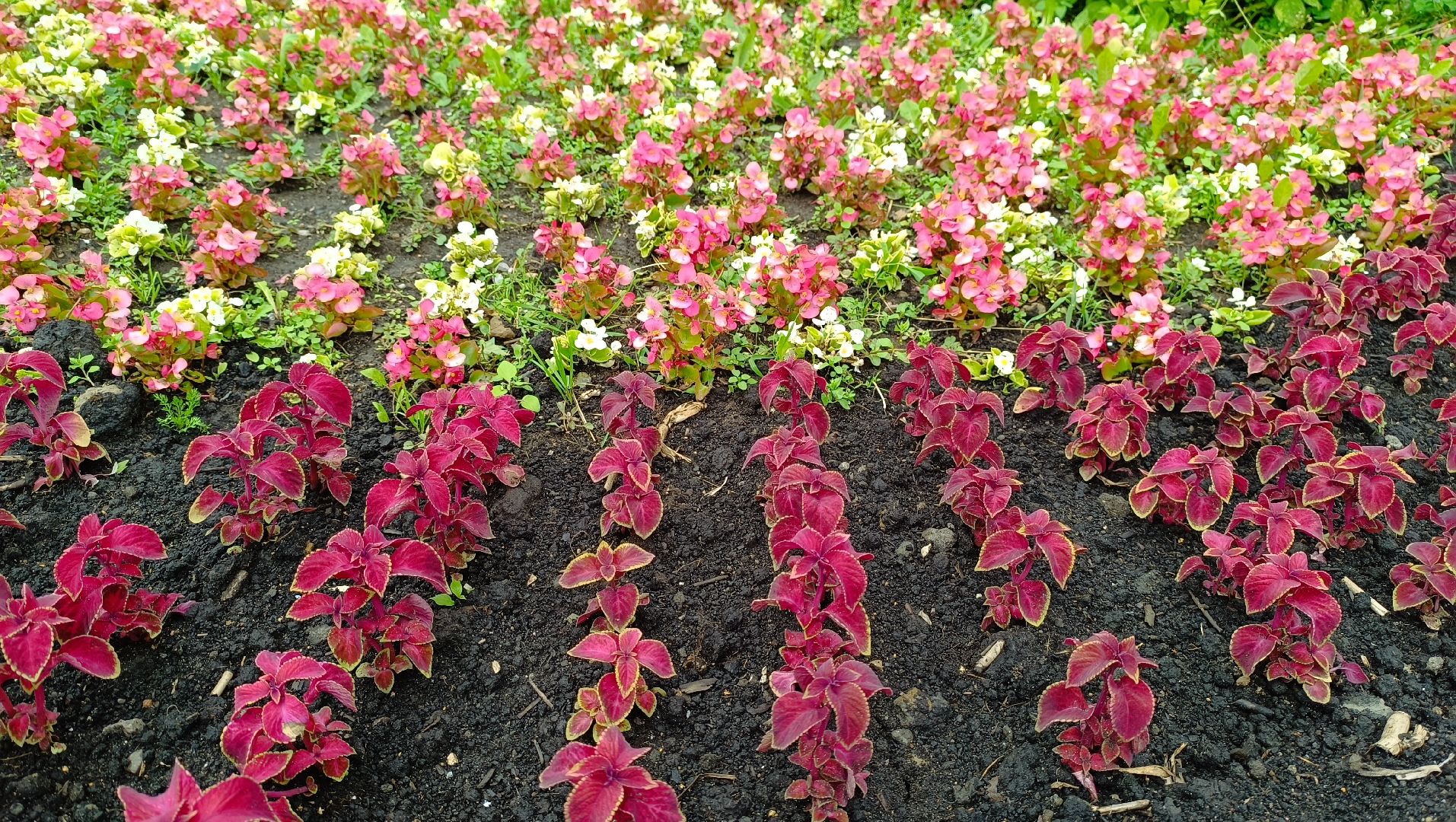 Лобня, благоустройство, парк