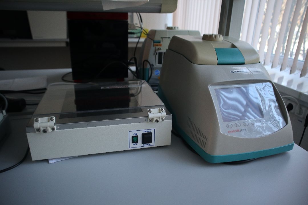 Пущино, Дубна, наука, космос, биология, тераностика, физика, Марс