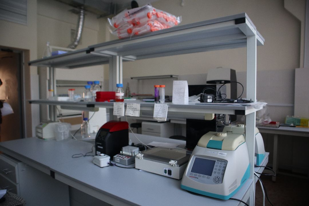 Пущино, Дубна, наука, космос, биология, тераностика, физика, Марс