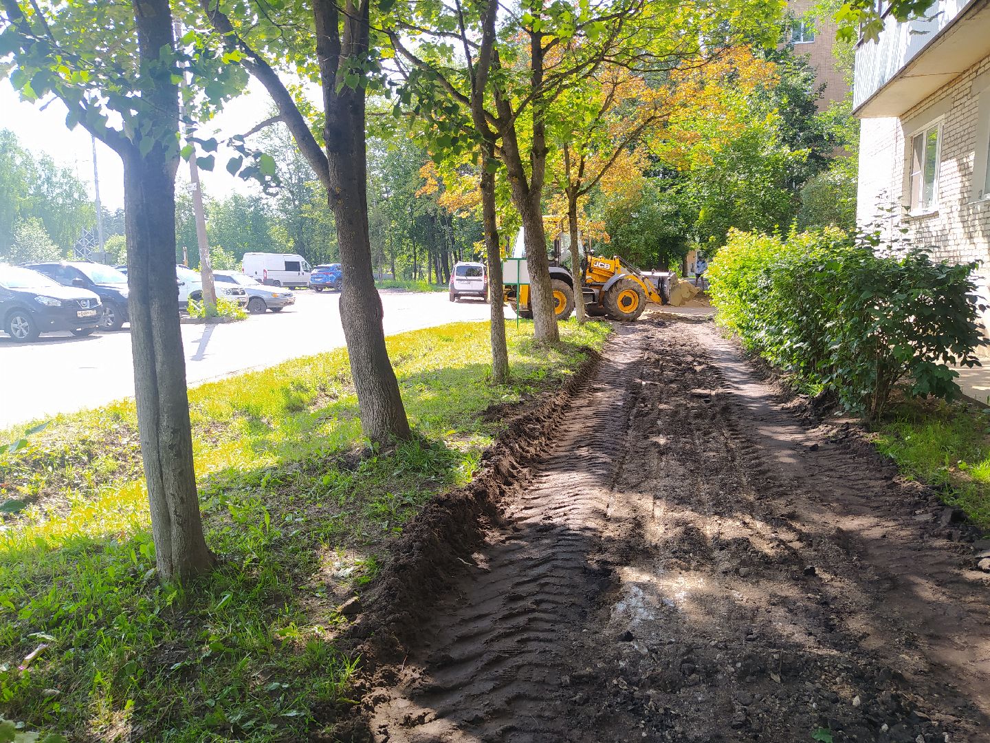 Снегири, благоустройство, тропинка, асфальт