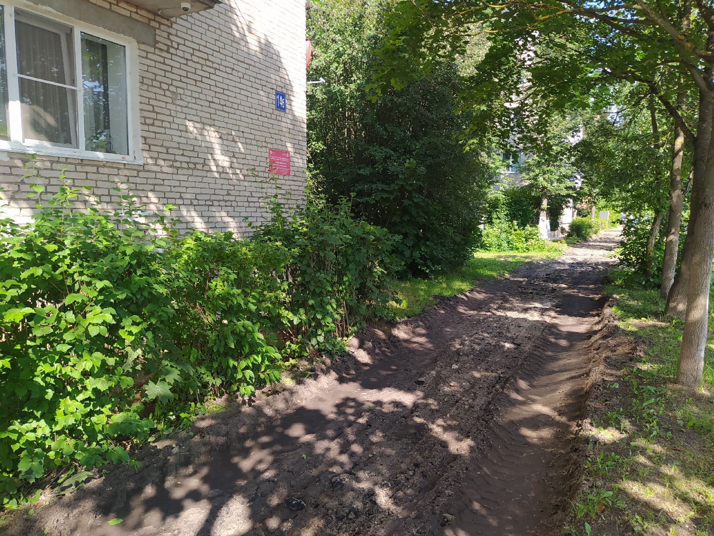 Снегири, благоустройство, тропинка, асфальт