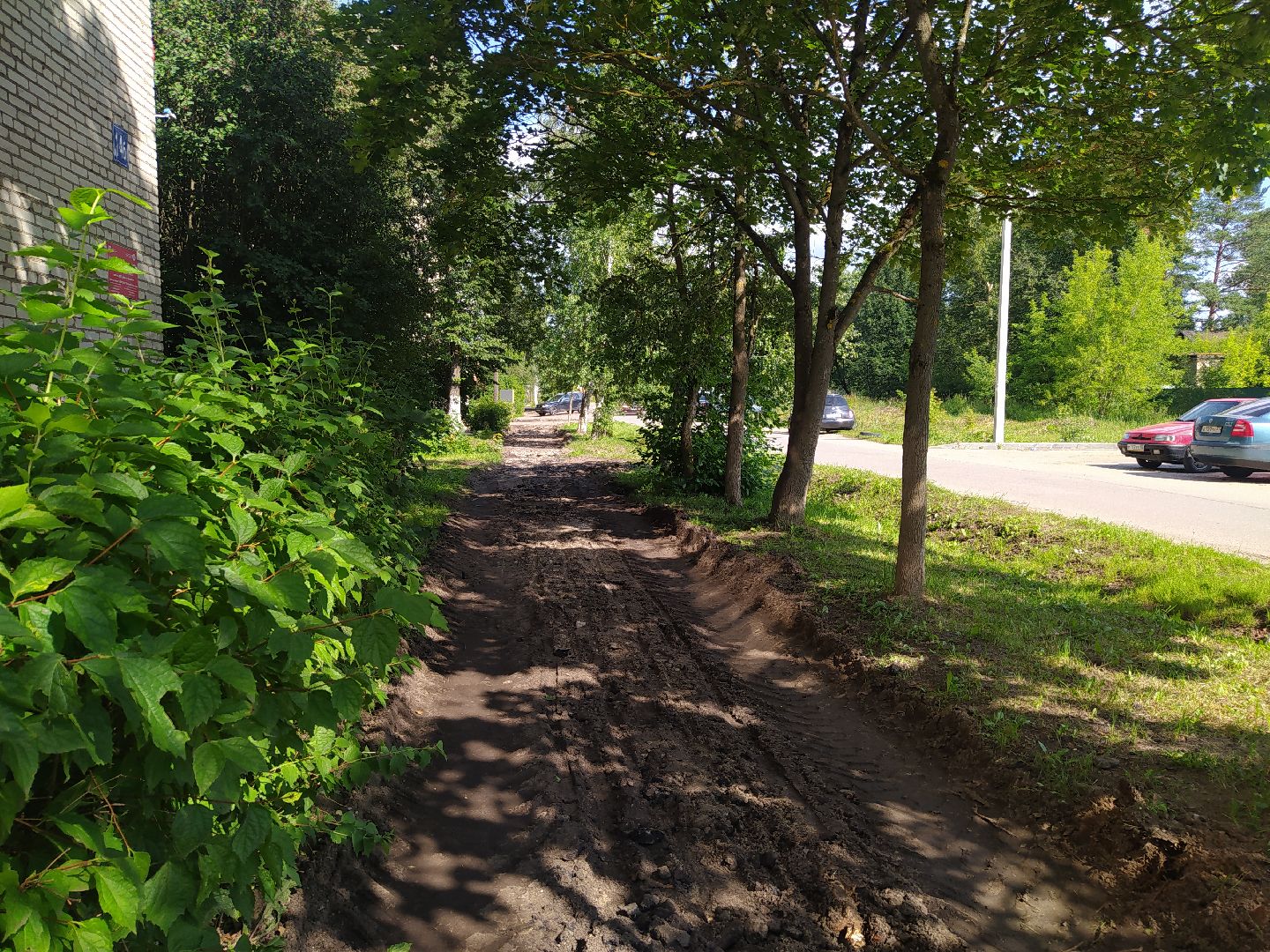 Снегири, благоустройство, тропинка, асфальт