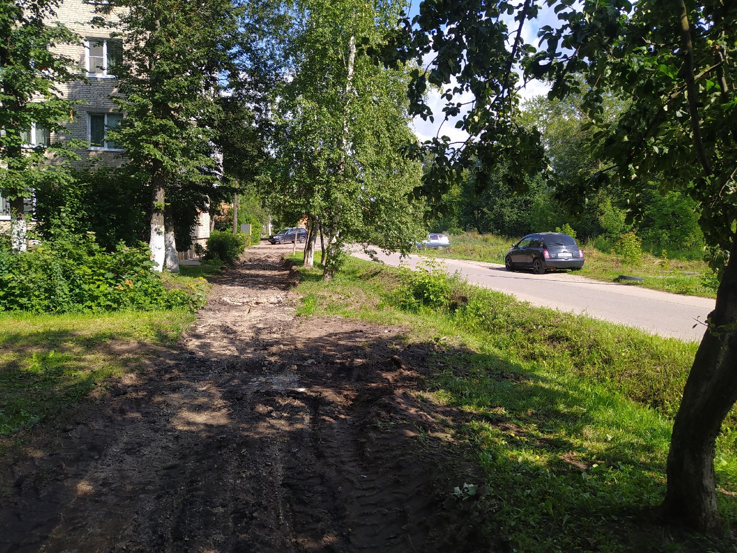 Снегири, благоустройство, тропинка, асфальт