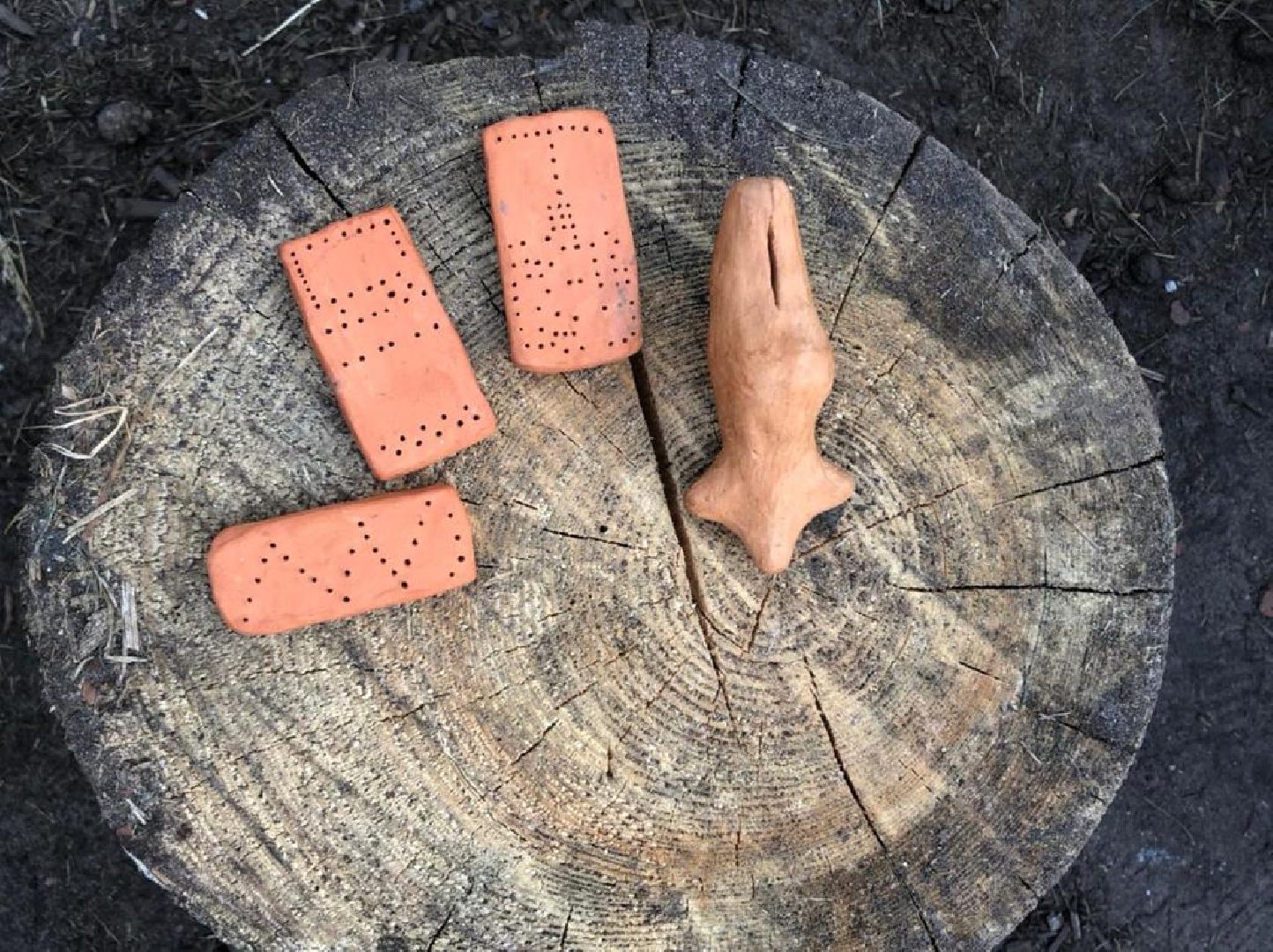 Ступино, президентский грант, среднее поочье