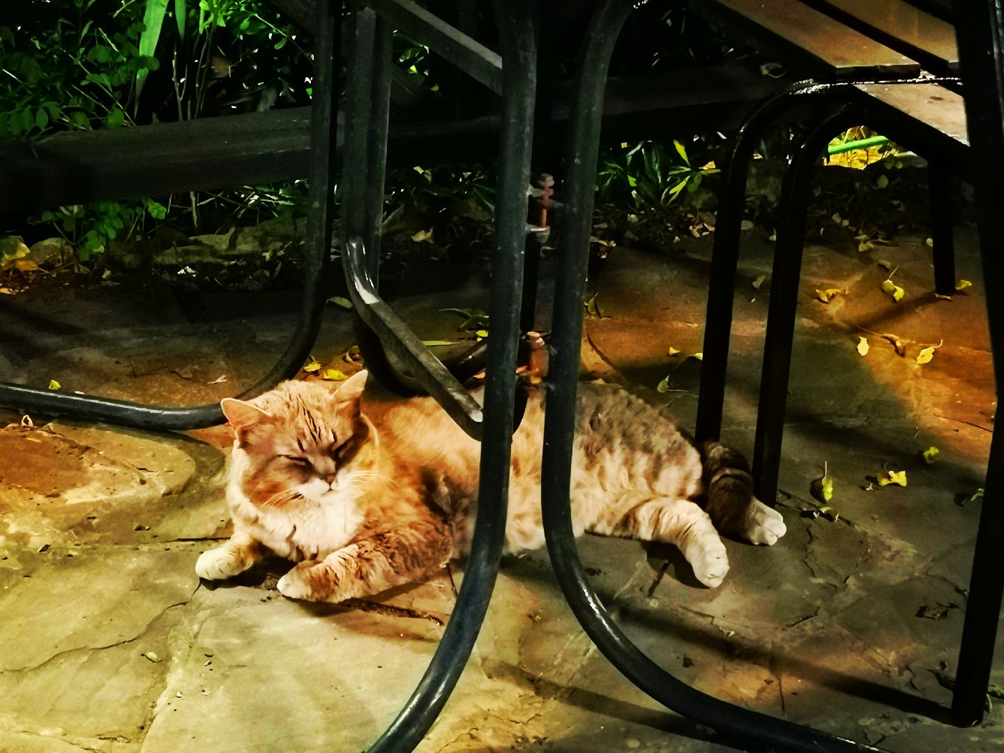 Подольск, спасение