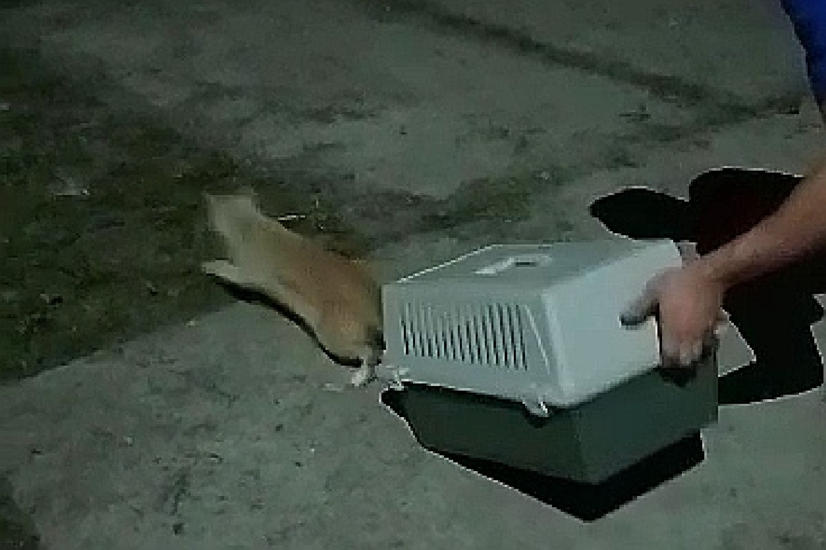 Подольск, спасение