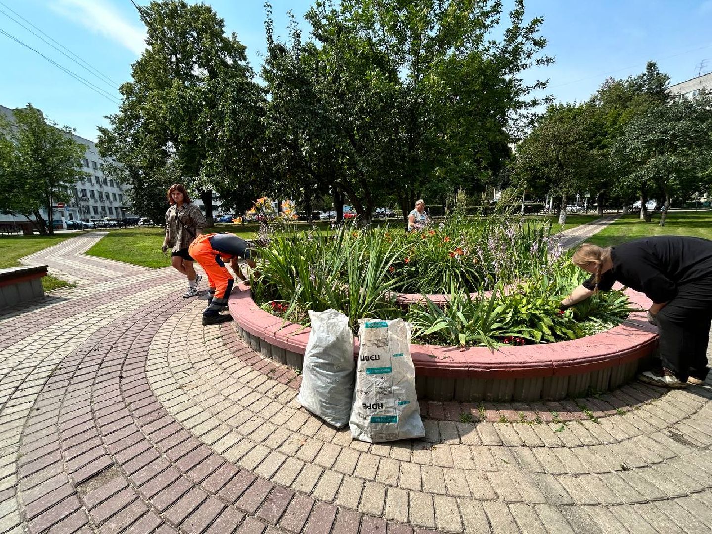 Подольск, подростки, благоустройство, клумбы, цветы, подработка