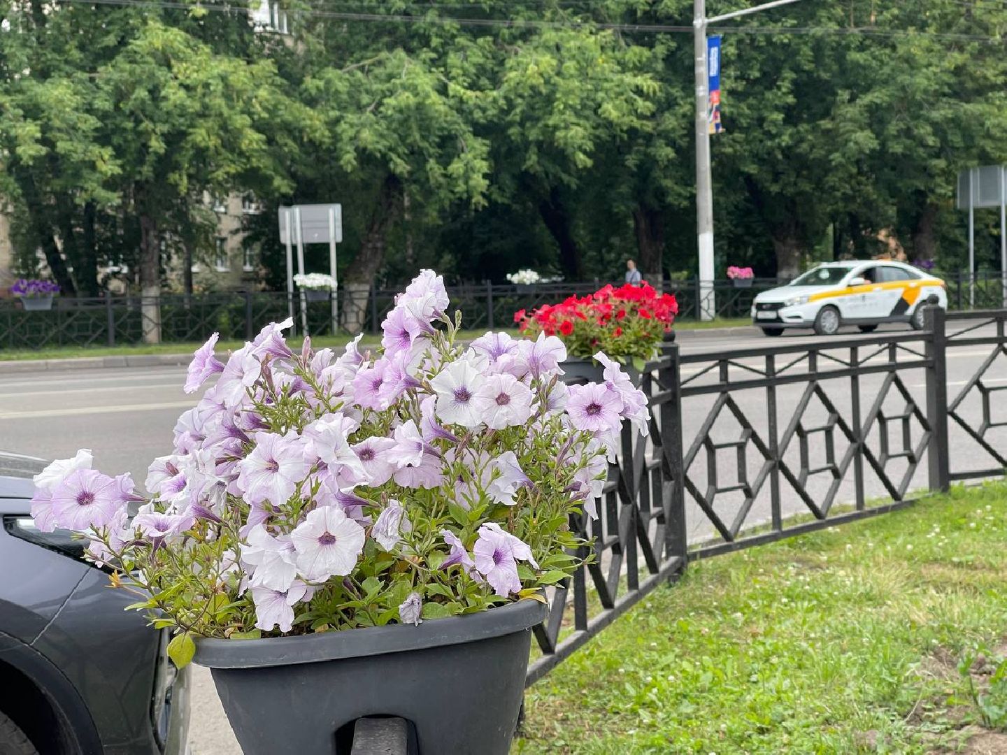 Подольск, подростки, благоустройство, клумбы, цветы, подработка