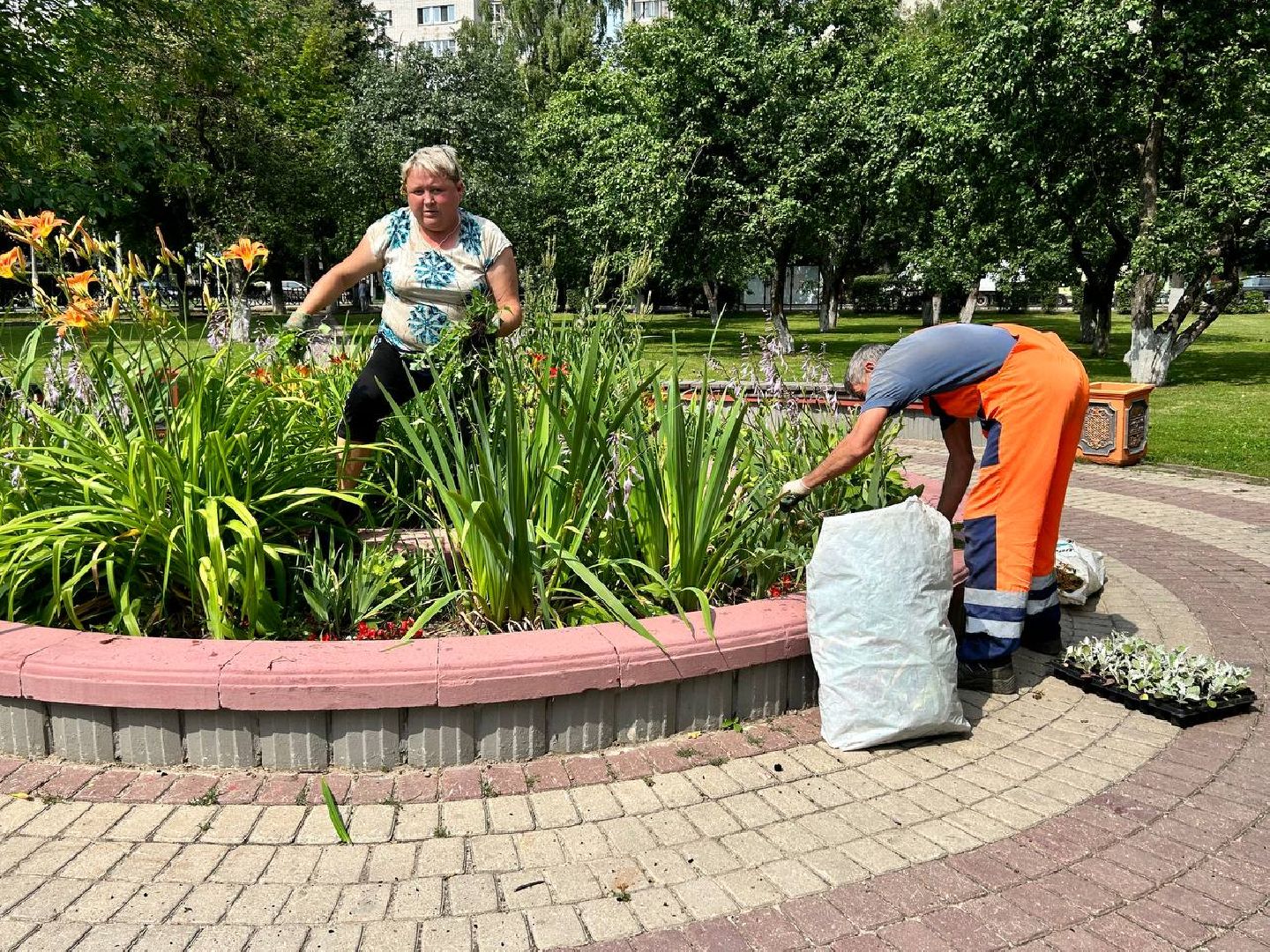 Подольск, подростки, благоустройство, клумбы, цветы, подработка