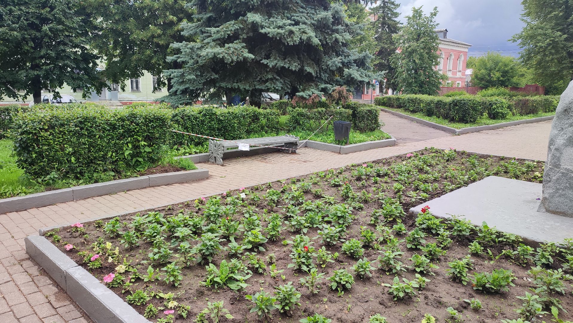 Кашира, Пушкинский сквер, благоустройство, газоны, цветы