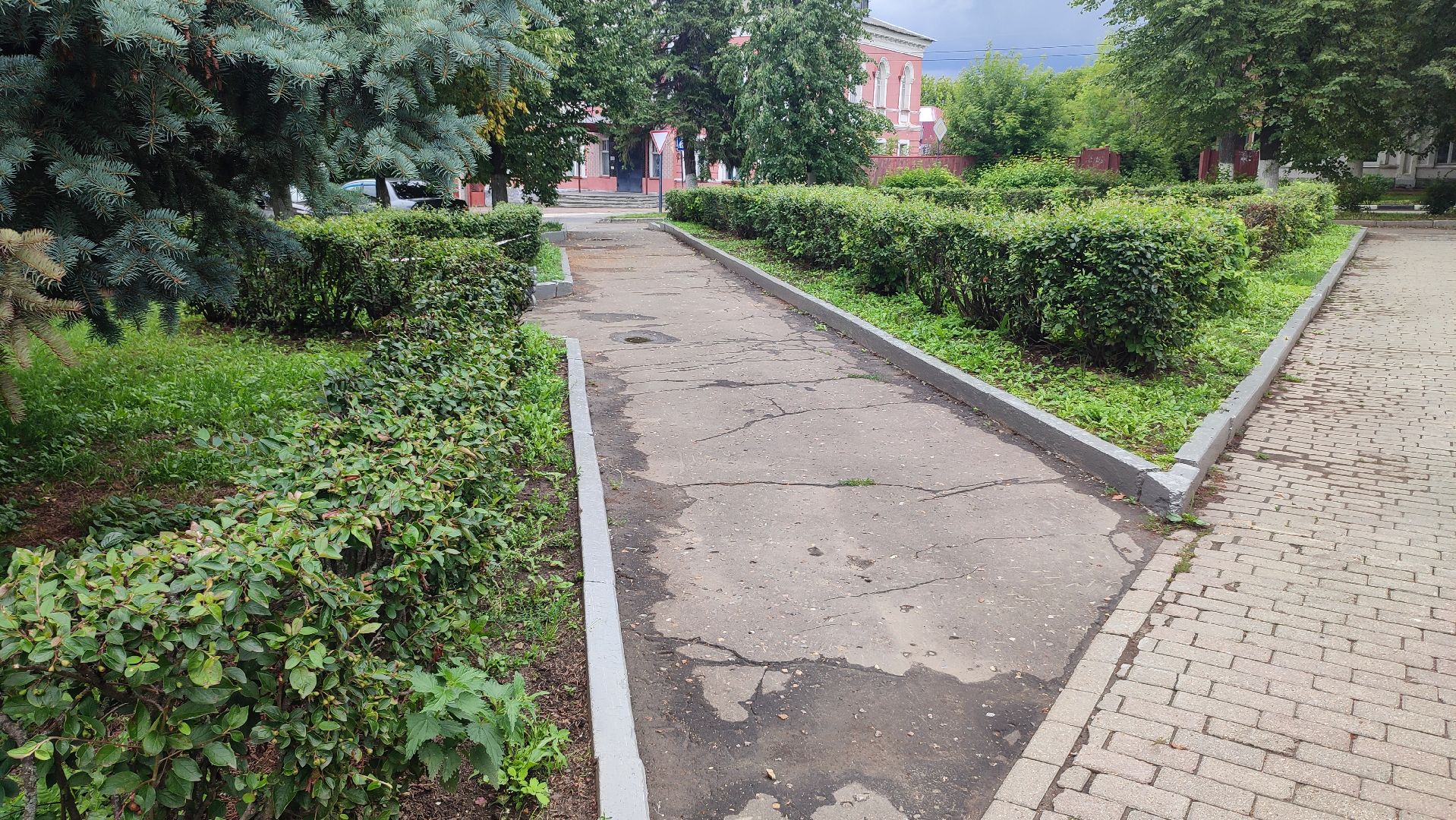 Кашира, Пушкинский сквер, благоустройство, газоны, цветы