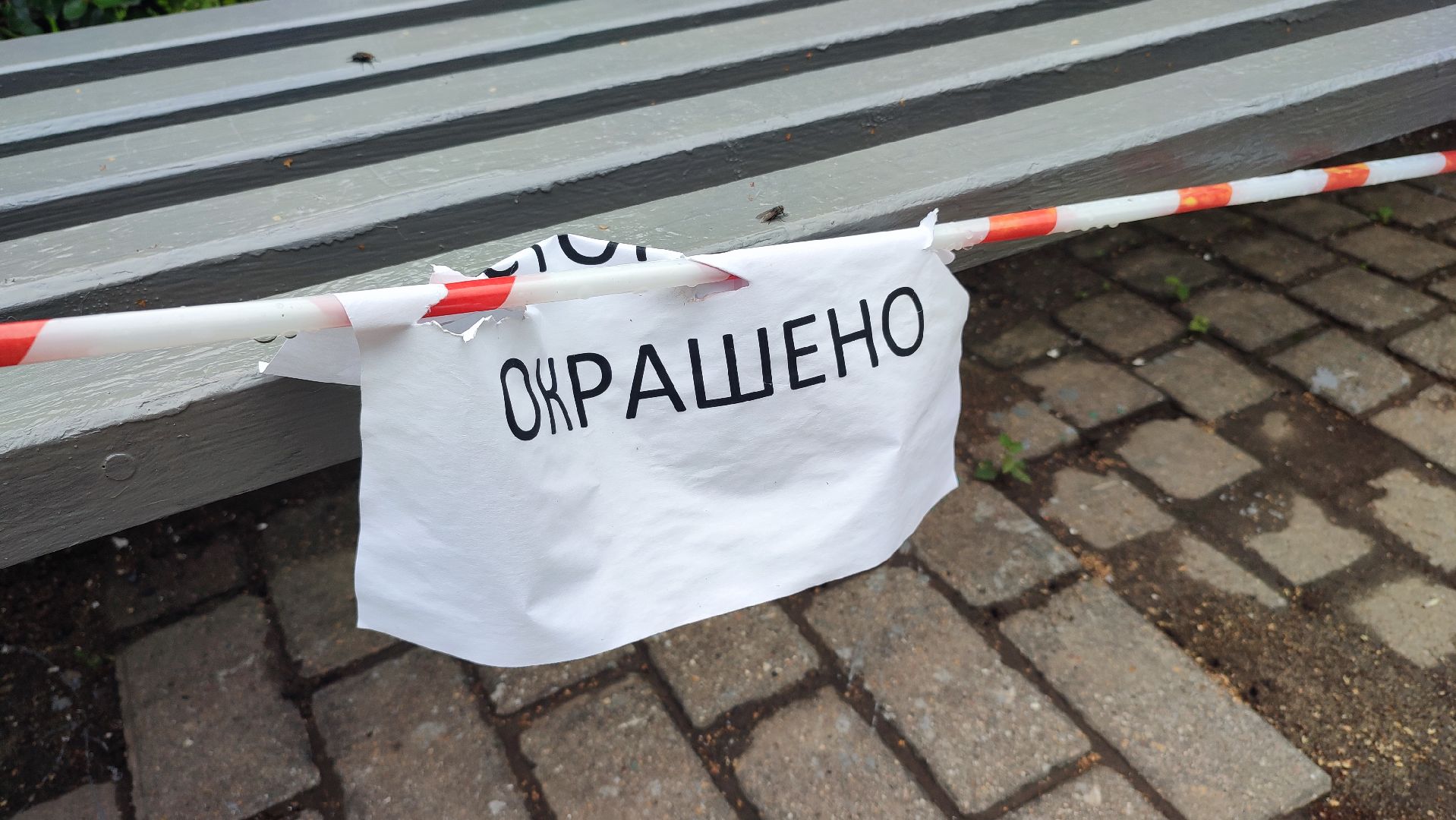 Кашира, Пушкинский сквер, благоустройство, газоны, цветы