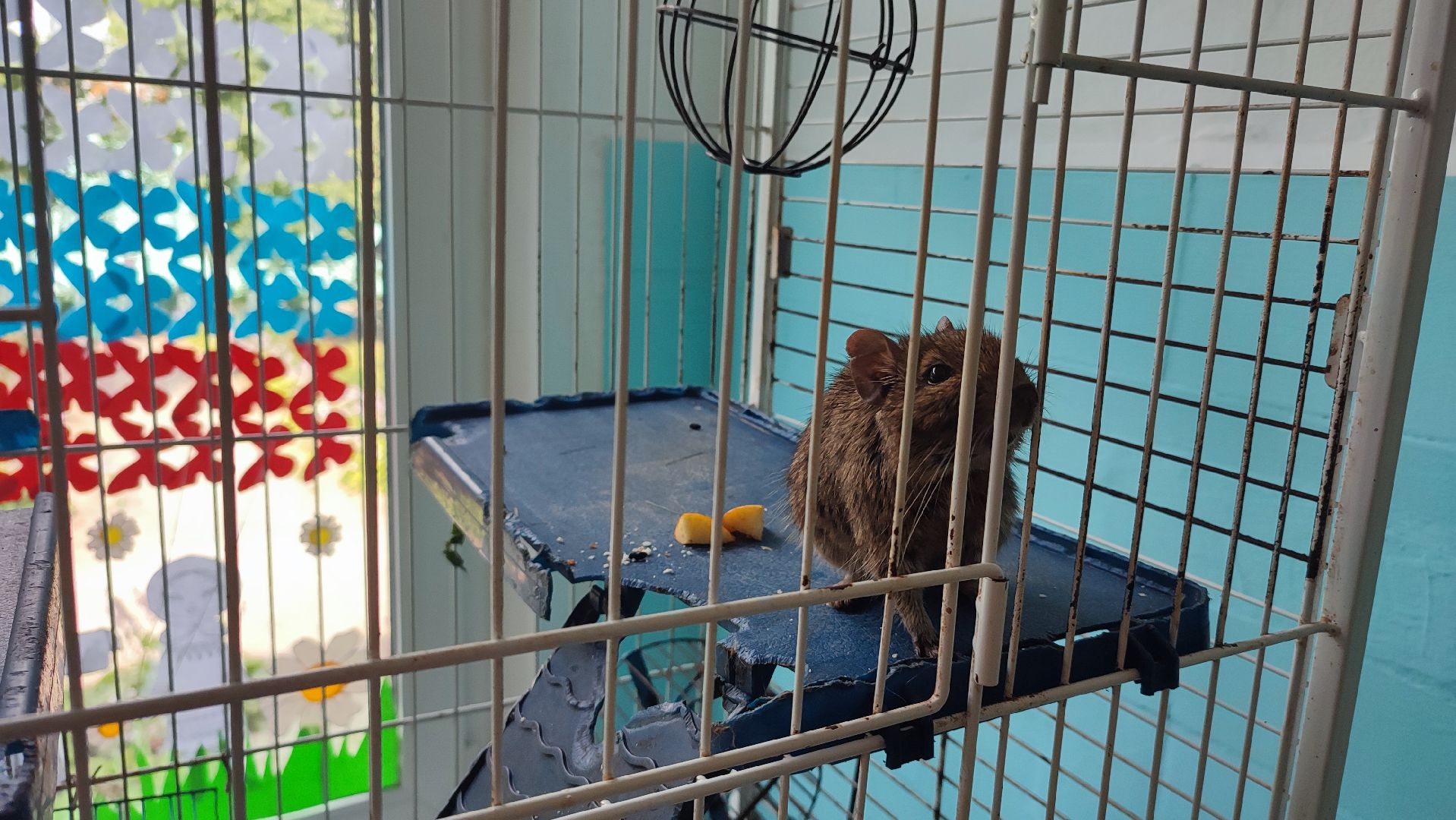 Кашира, детский экологический центр, летний лагерь, отдых, экология