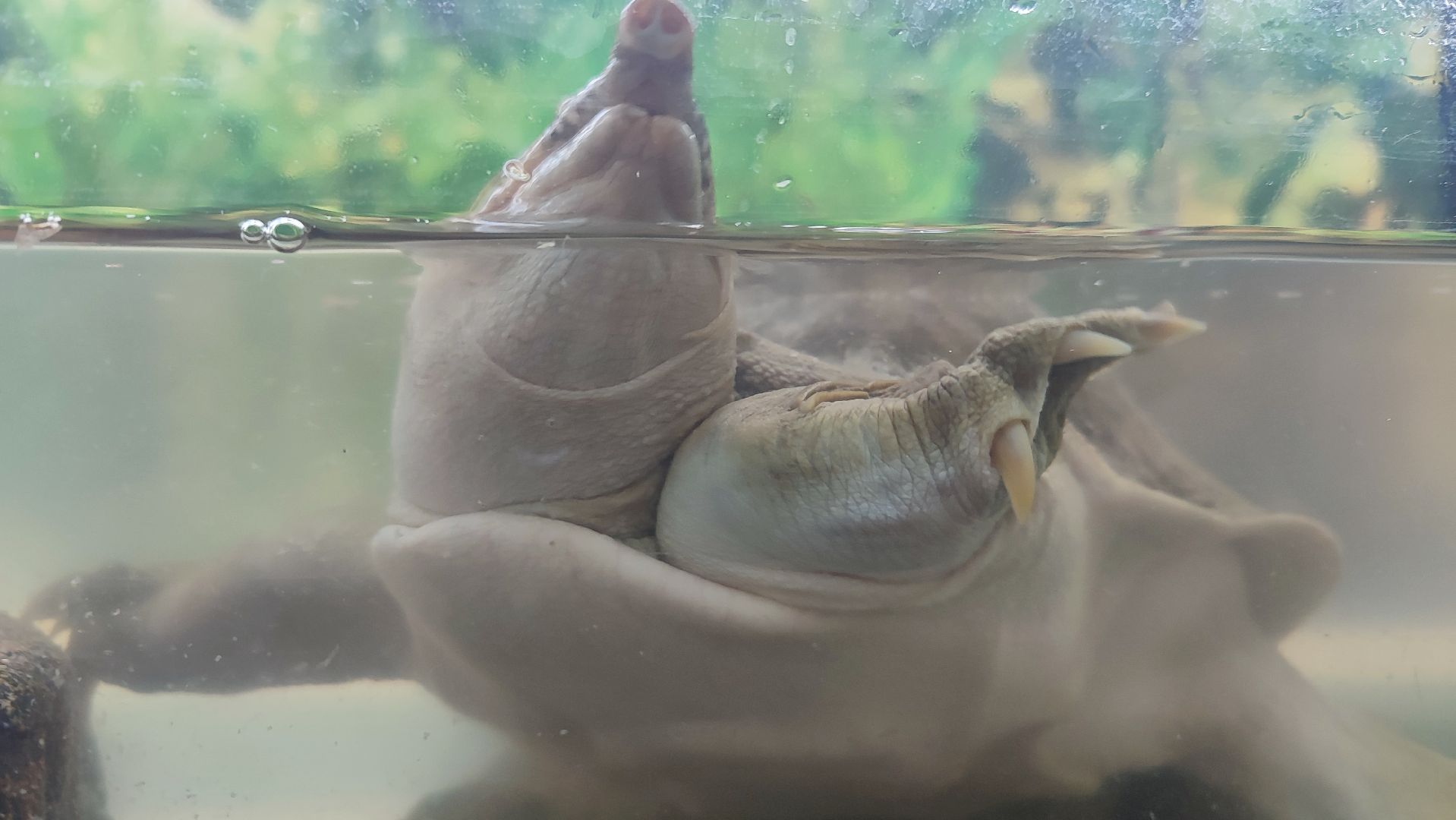 Кашира, детский экологический центр, летний лагерь, отдых, экология