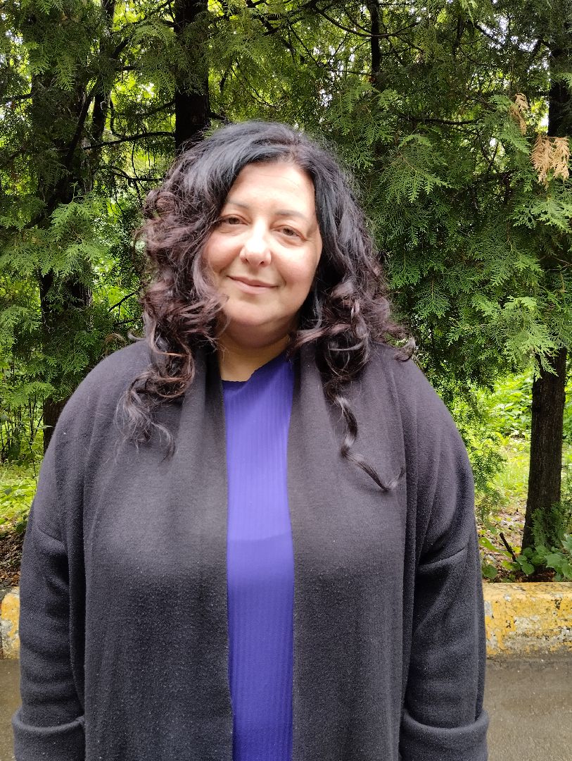 Выборы, избирательная система, губернатор, Ногинск, Богородский городской округ