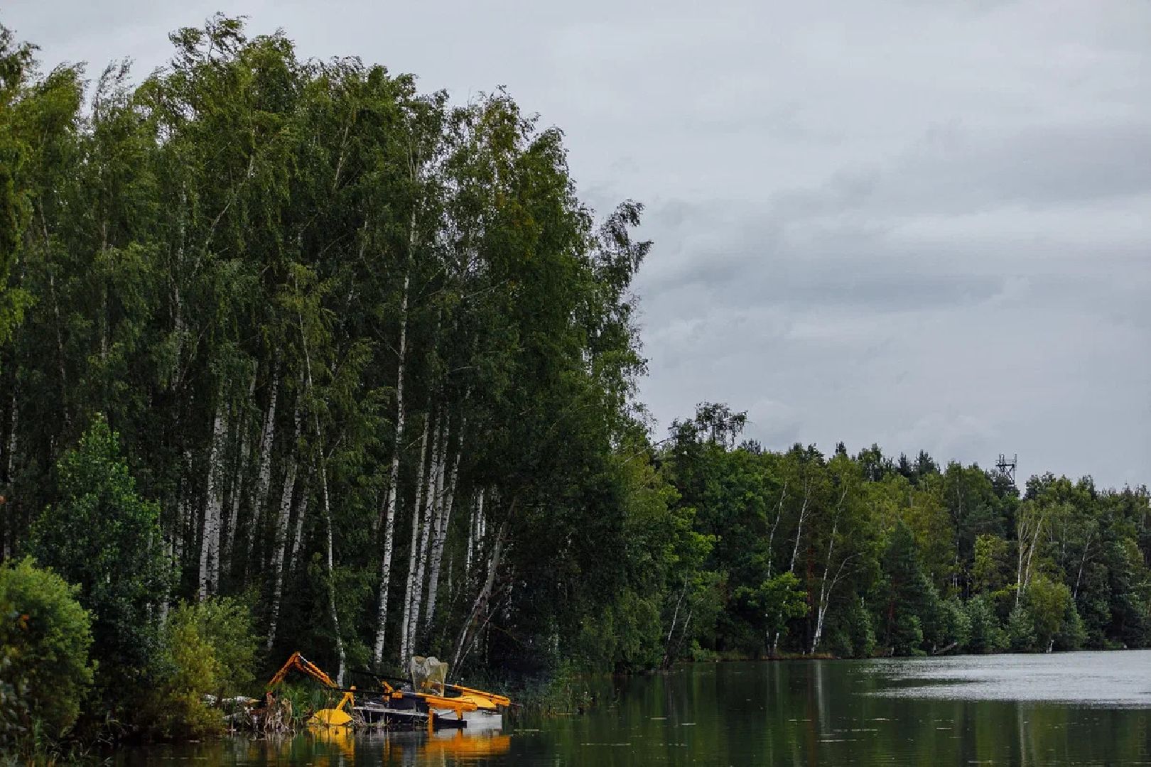 Озеро, очистка, благоустройство, техника, программа губернатора, Орехово-Зуево