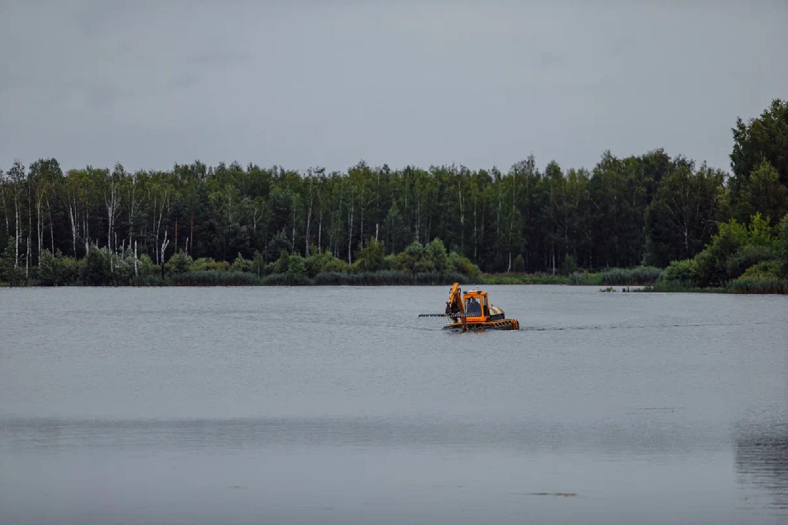 Озеро, очистка, благоустройство, техника, программа губернатора, Орехово-Зуево