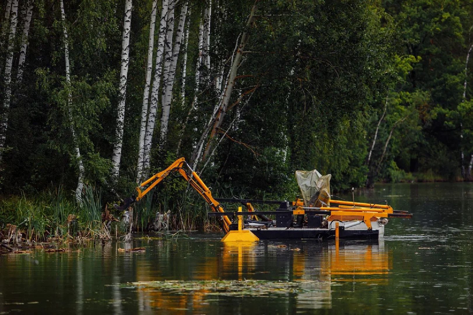 Озеро, очистка, благоустройство, техника, программа губернатора, Орехово-Зуево