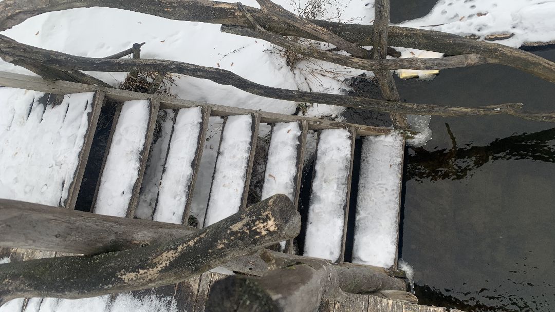 Ступино, общество