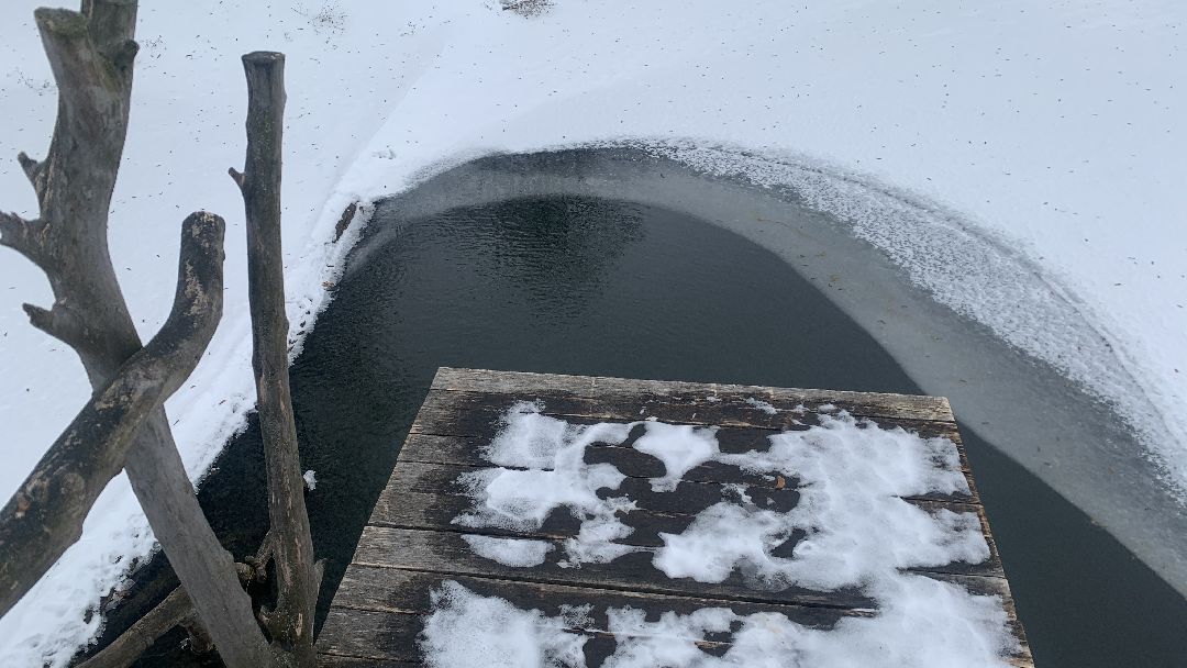 Ступино, общество