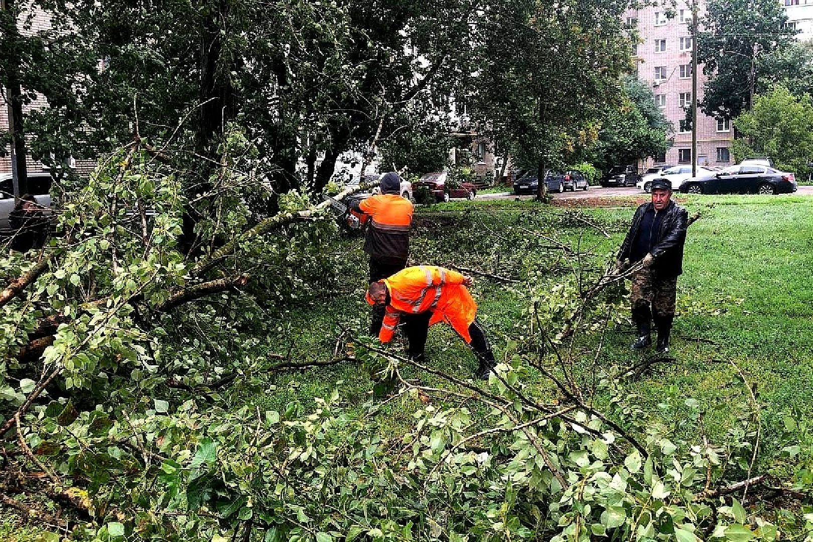 Подольск, уборка, непогода