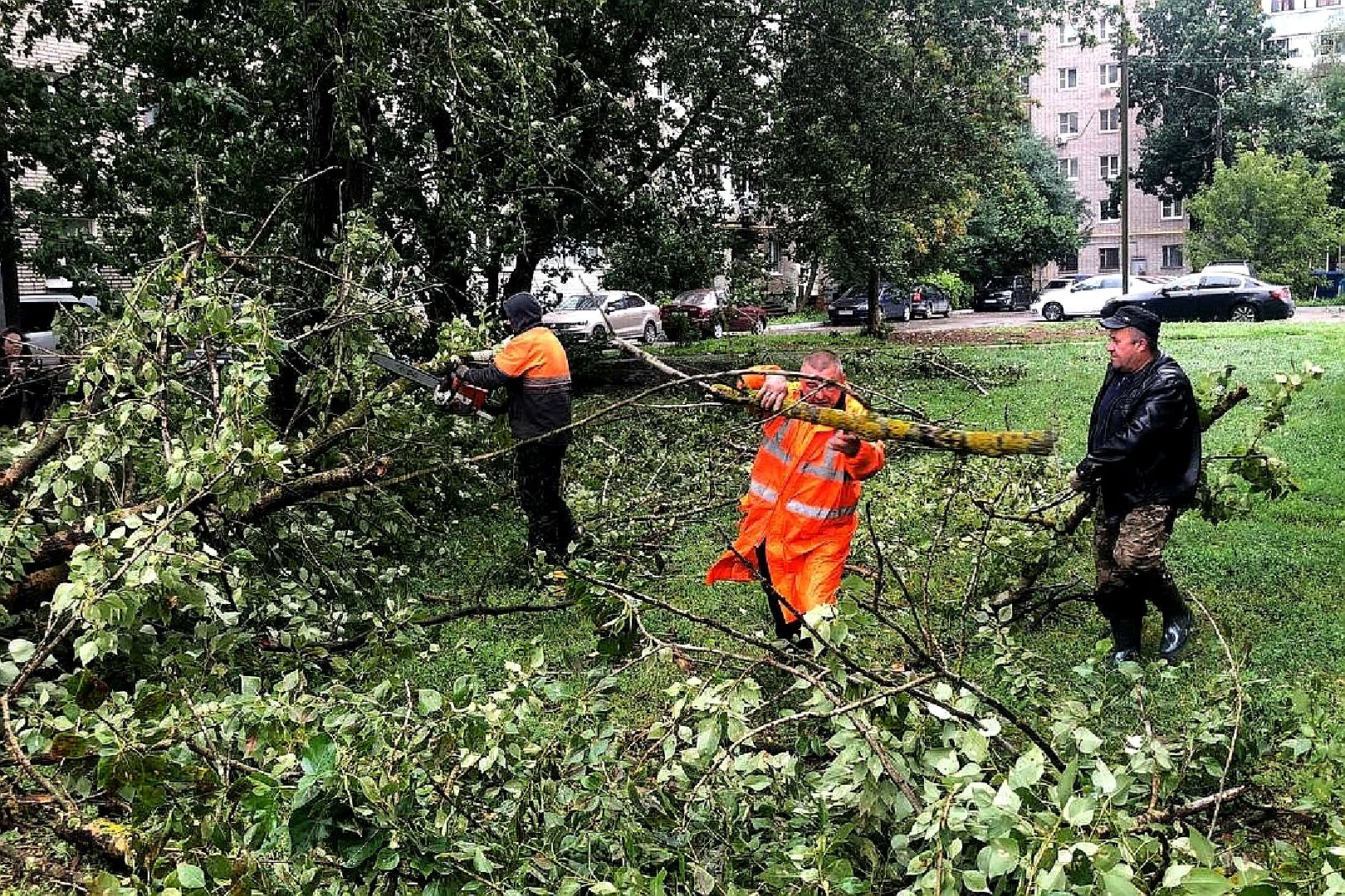 Подольск, уборка, непогода