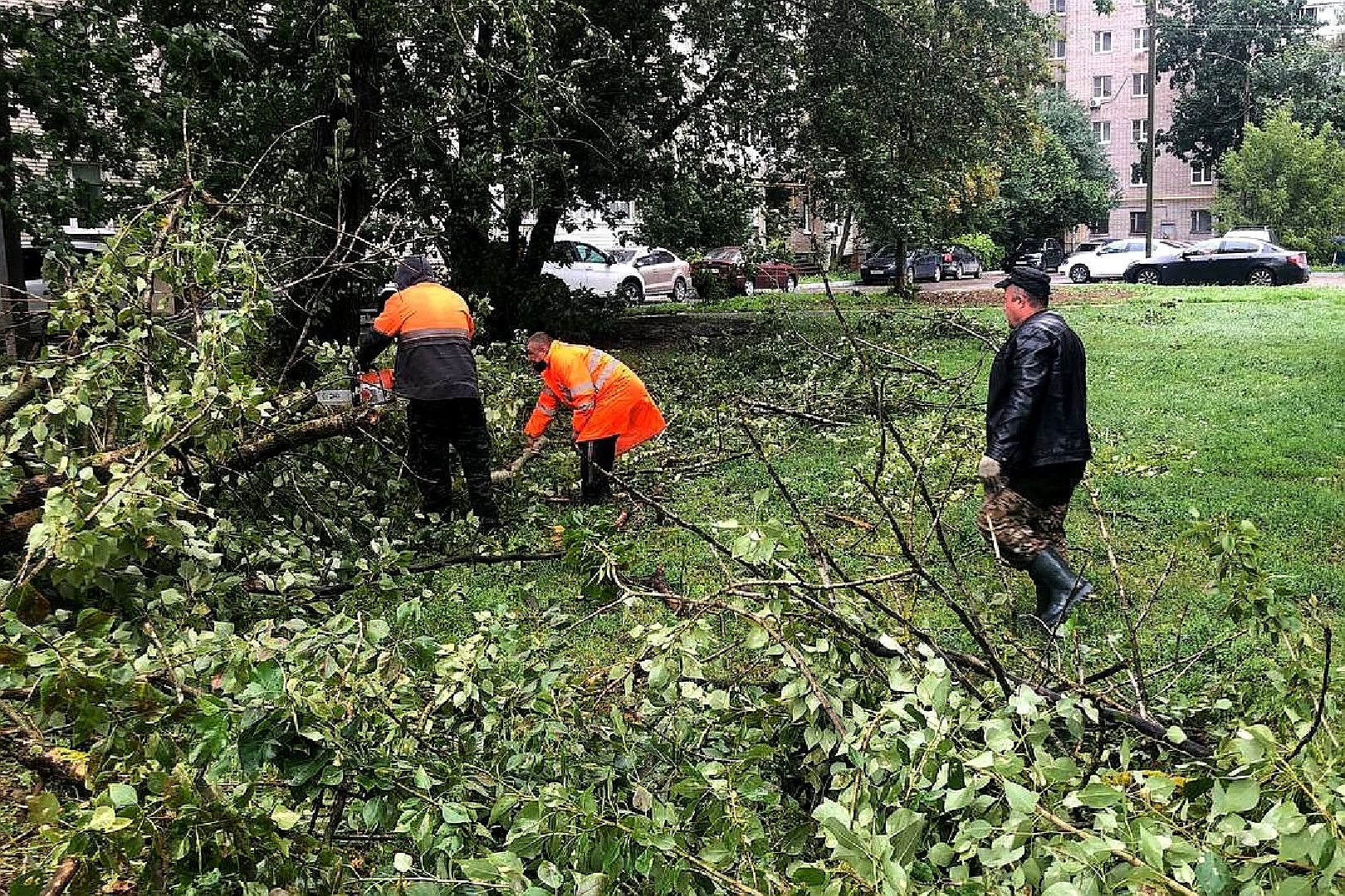 Подольск, уборка, непогода