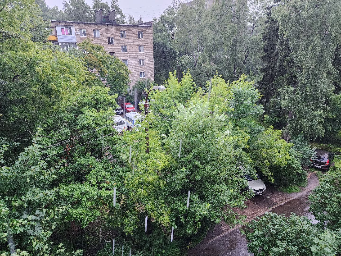 Пушкино, дождь, ветер, ЖКХ