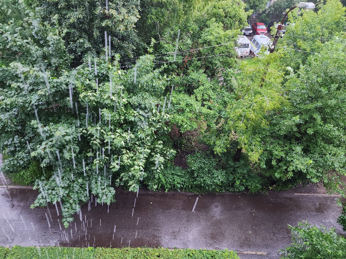 Пушкино, дождь, ветер, ЖКХ