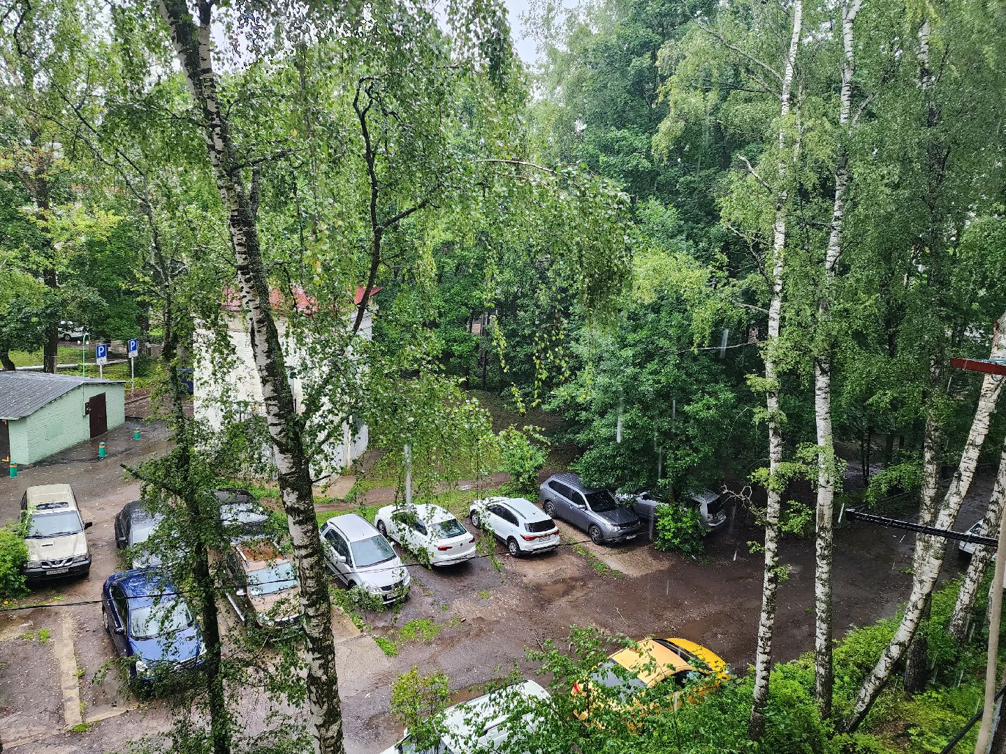 Пушкино, дождь, ветер, ЖКХ