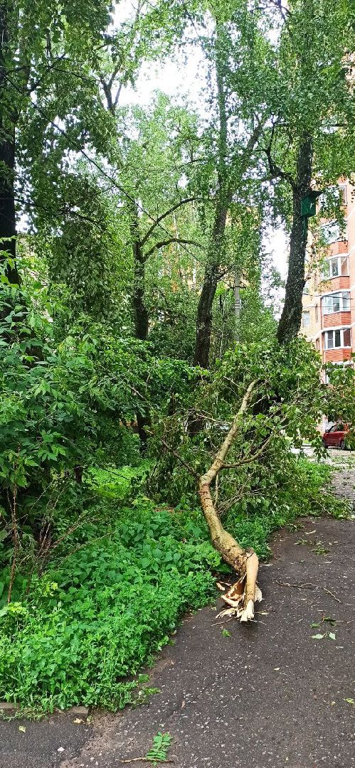 Ураган в Подмосковье, стихия, ЧП, Наро-Фоминск ликвидация последствий урагана,