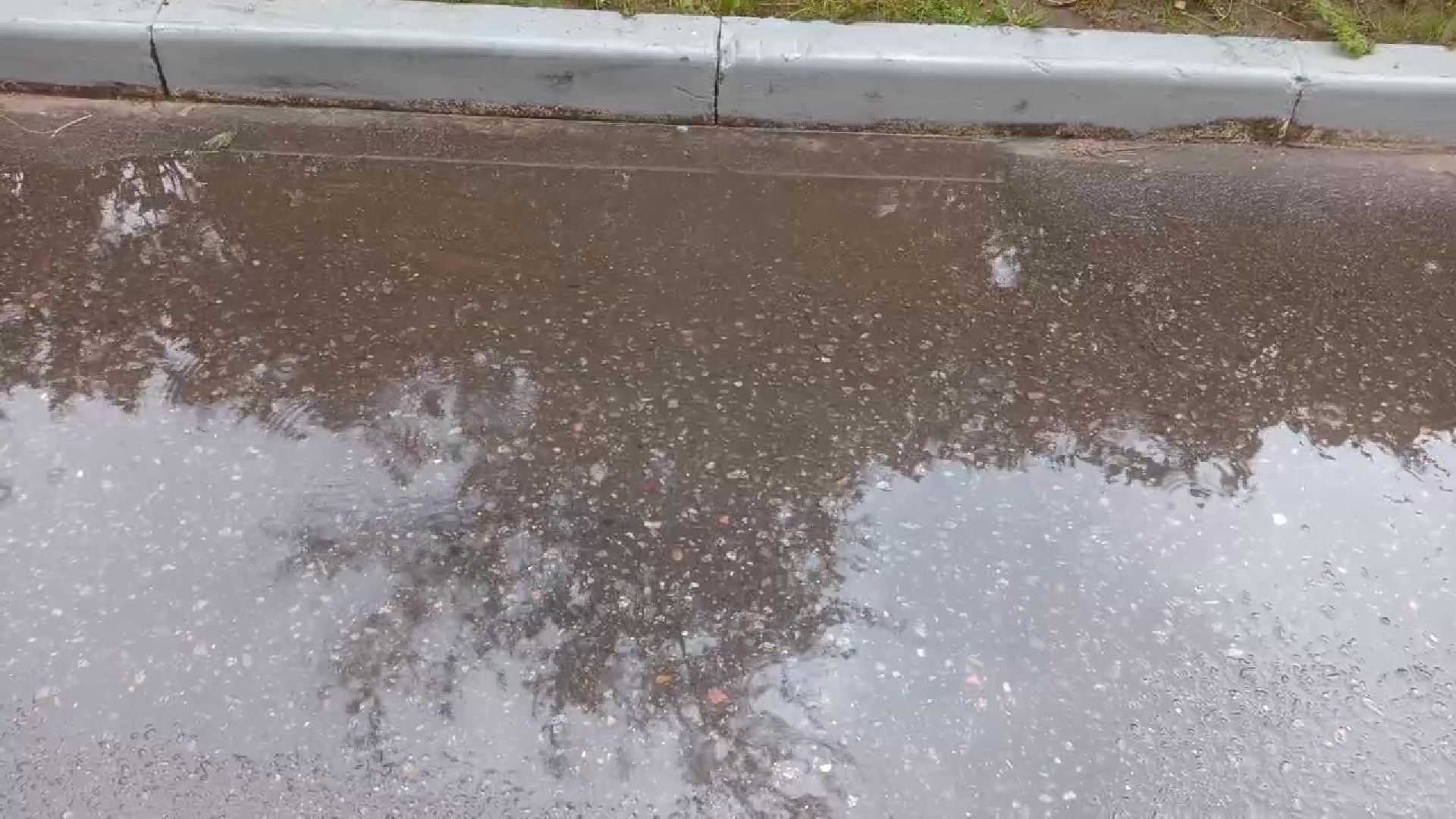 Реутов, непогода, дожди, деревья